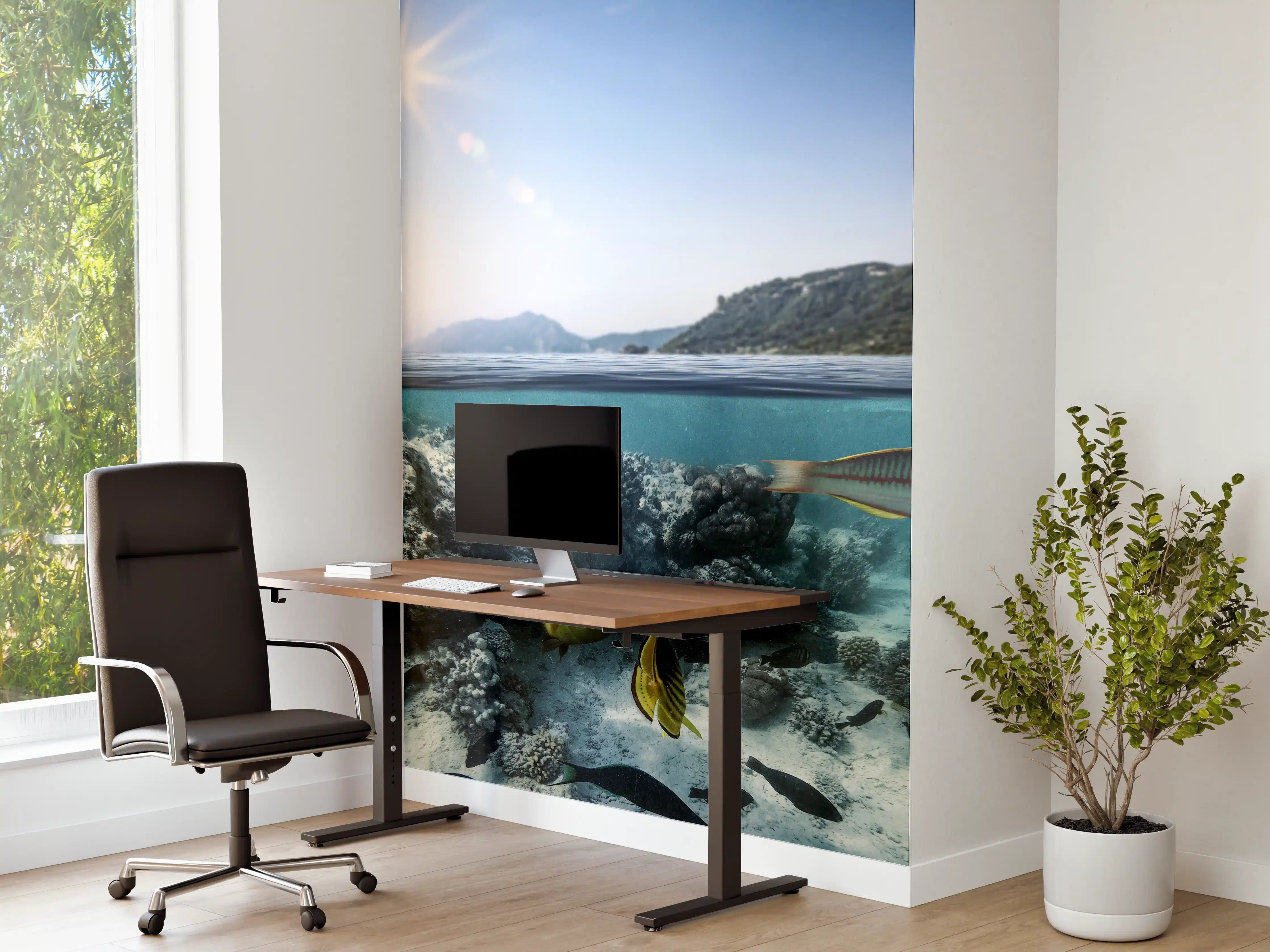 Büro Wandgestaltung - Exotische Fische im Korallenriff