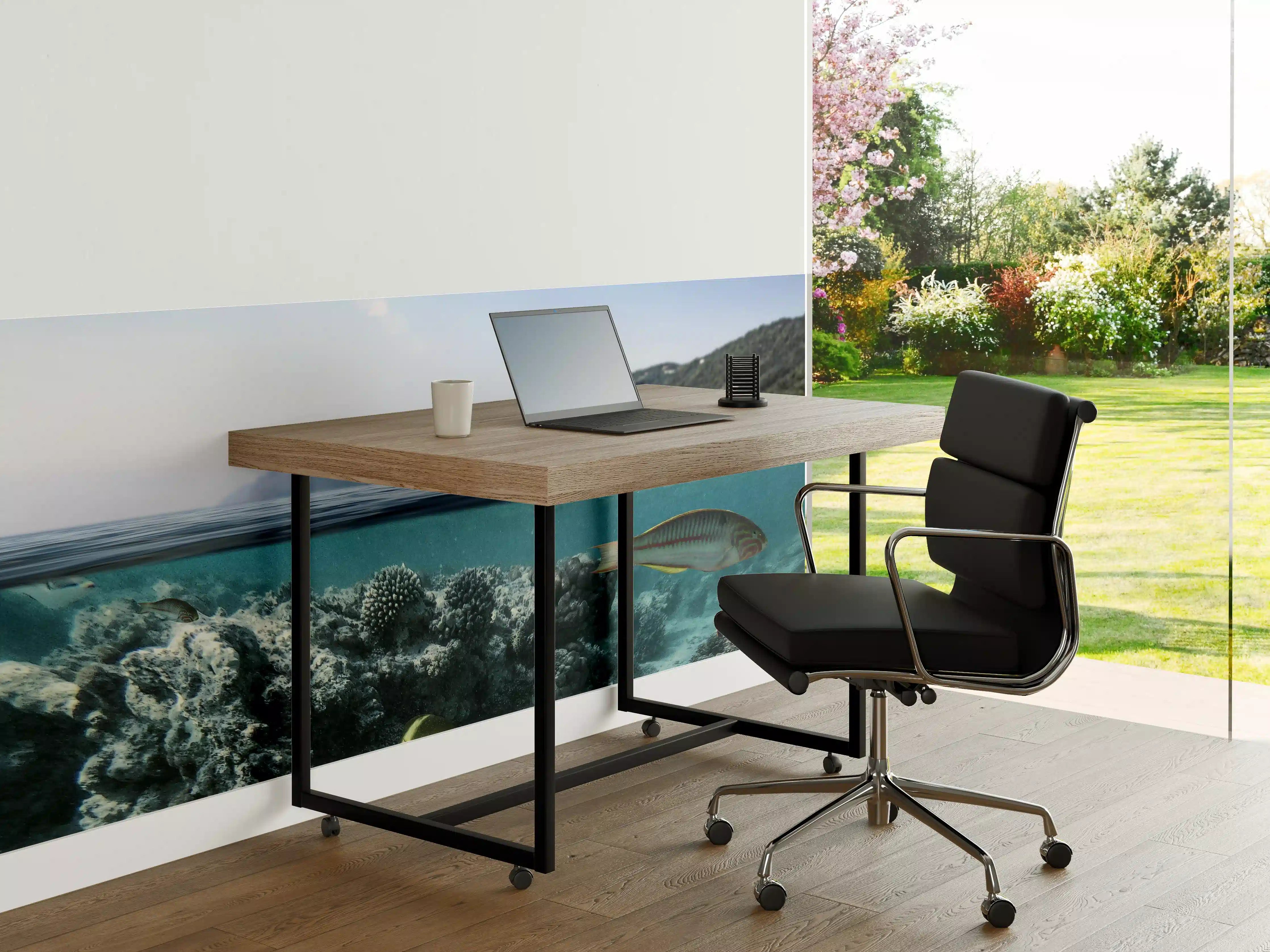 Büro Wandgestaltung - Exotische Fische im Korallenriff