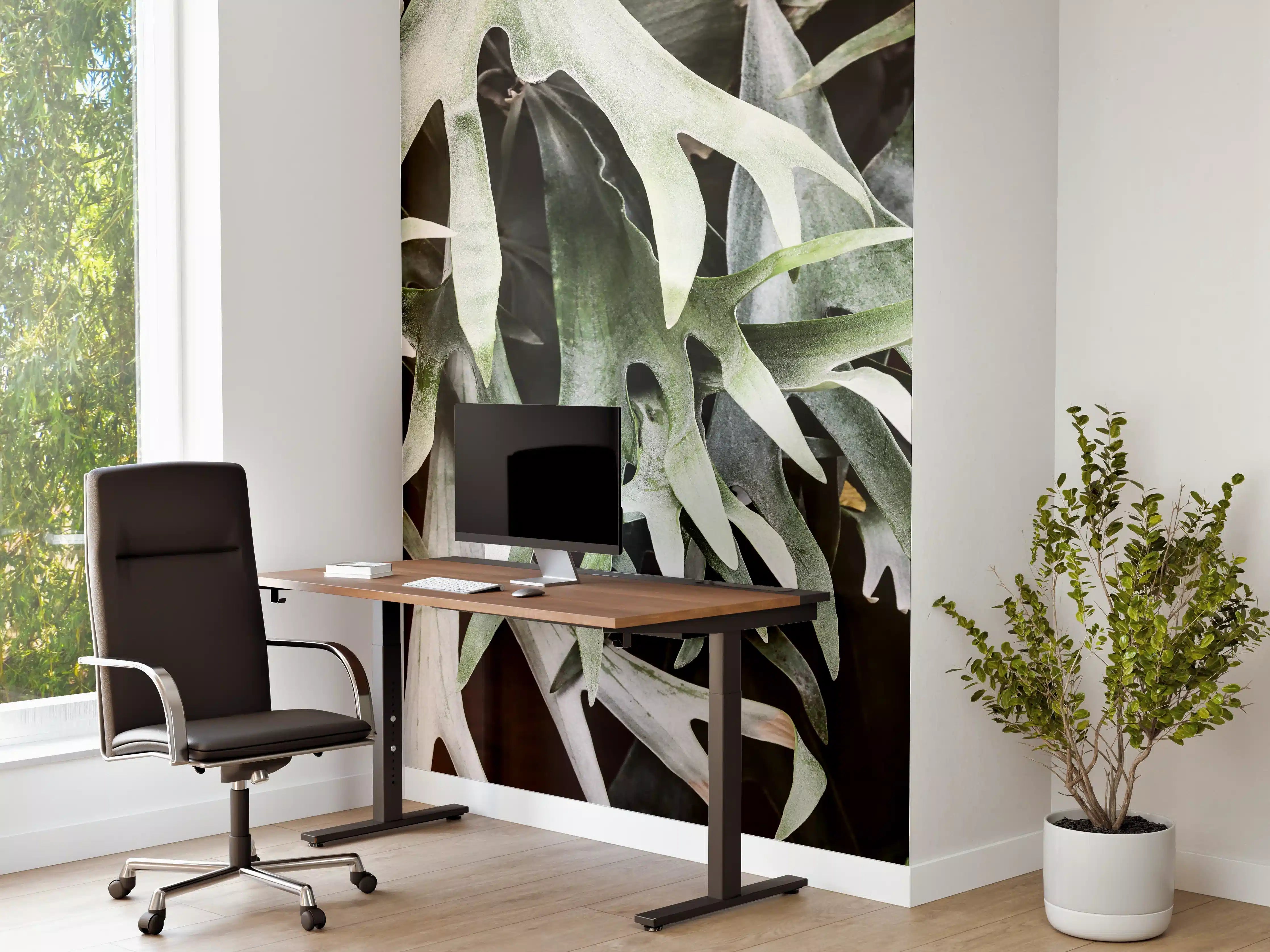 Büro Wandgestaltung - Exotisches Staghorn Farnblatt