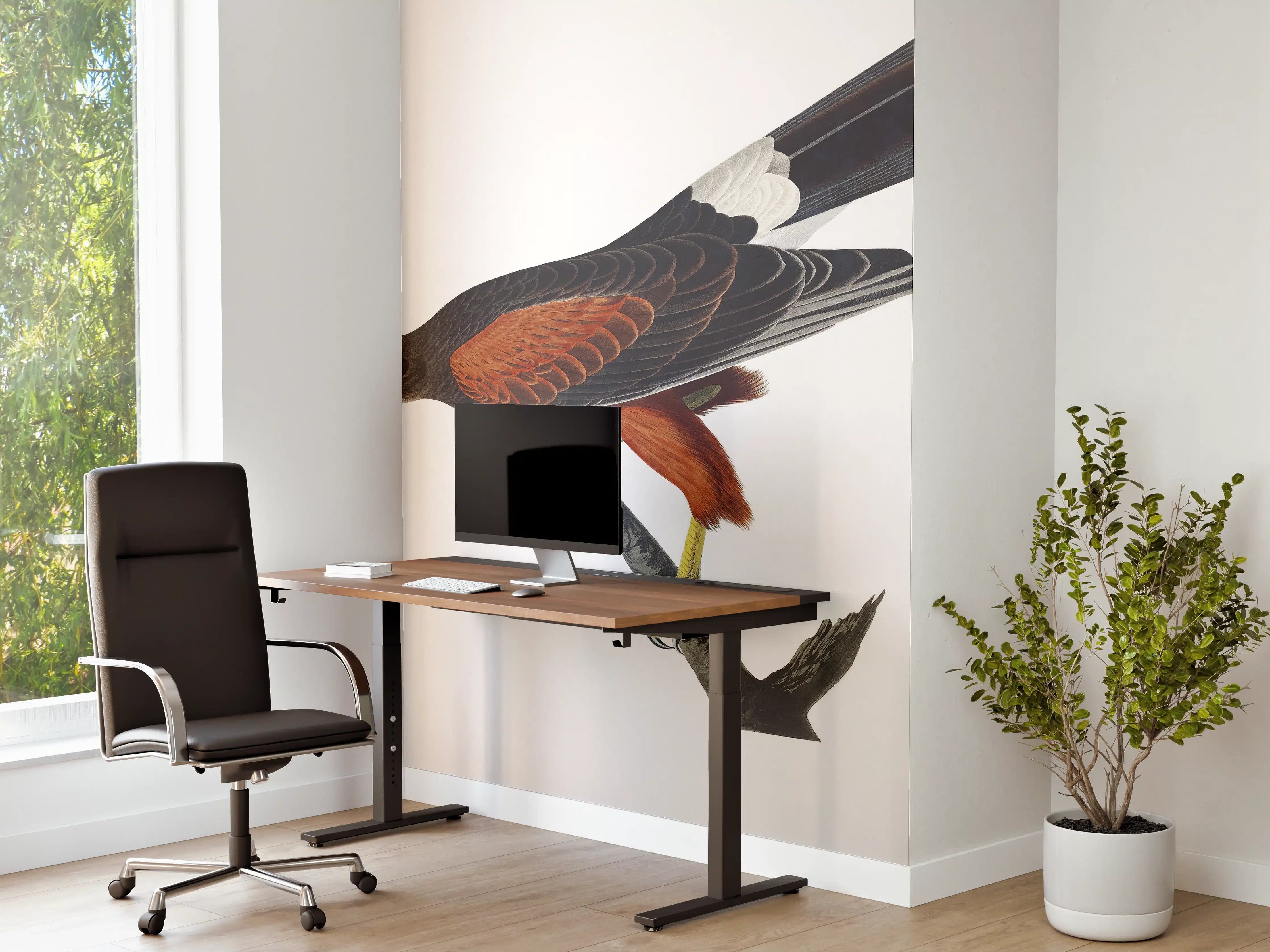 Büro Wandgestaltung - Falken Portrait - John James Audubon