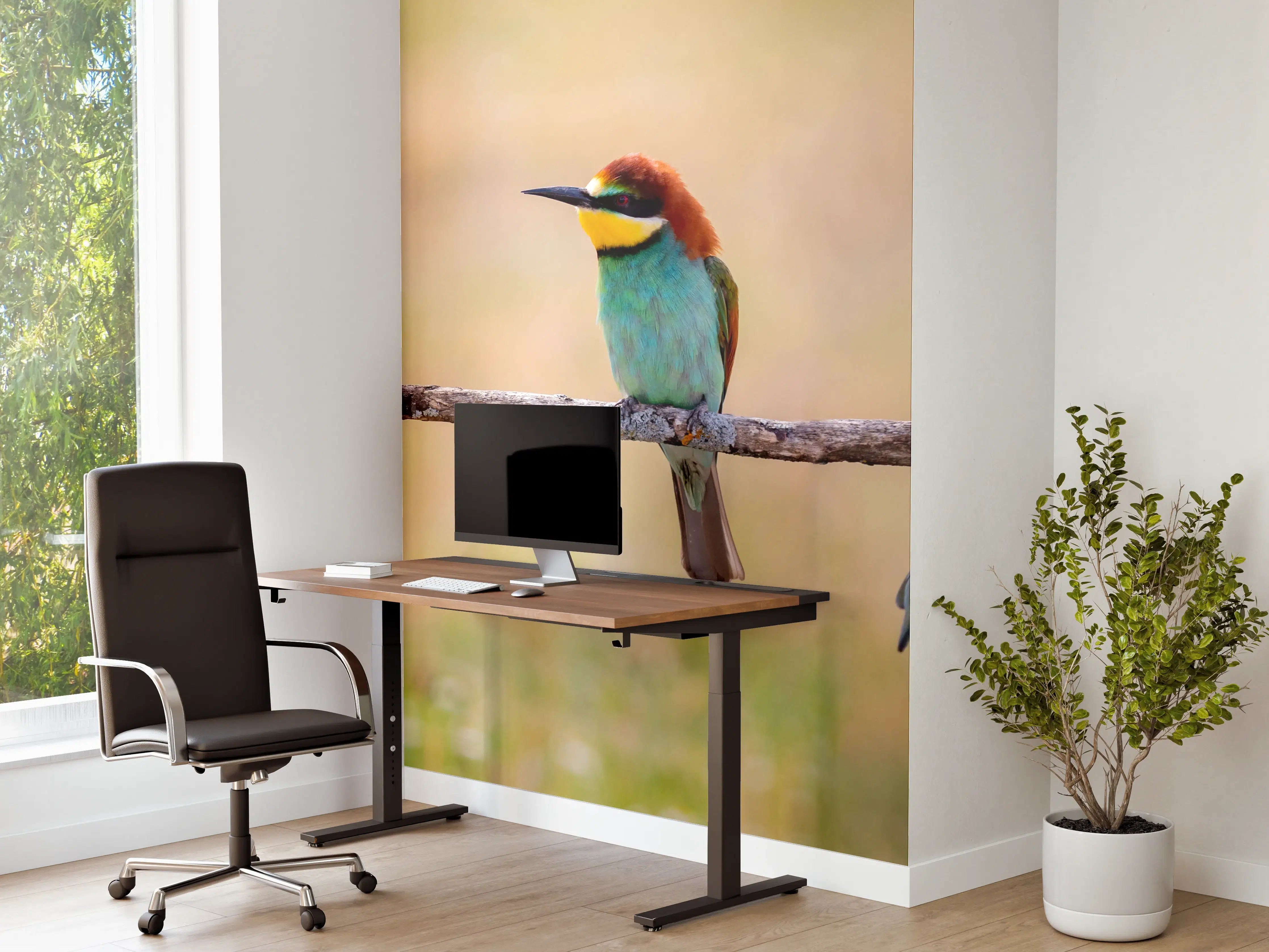 Büro Wandgestaltung - Familie von Bienenfressern auf Ast