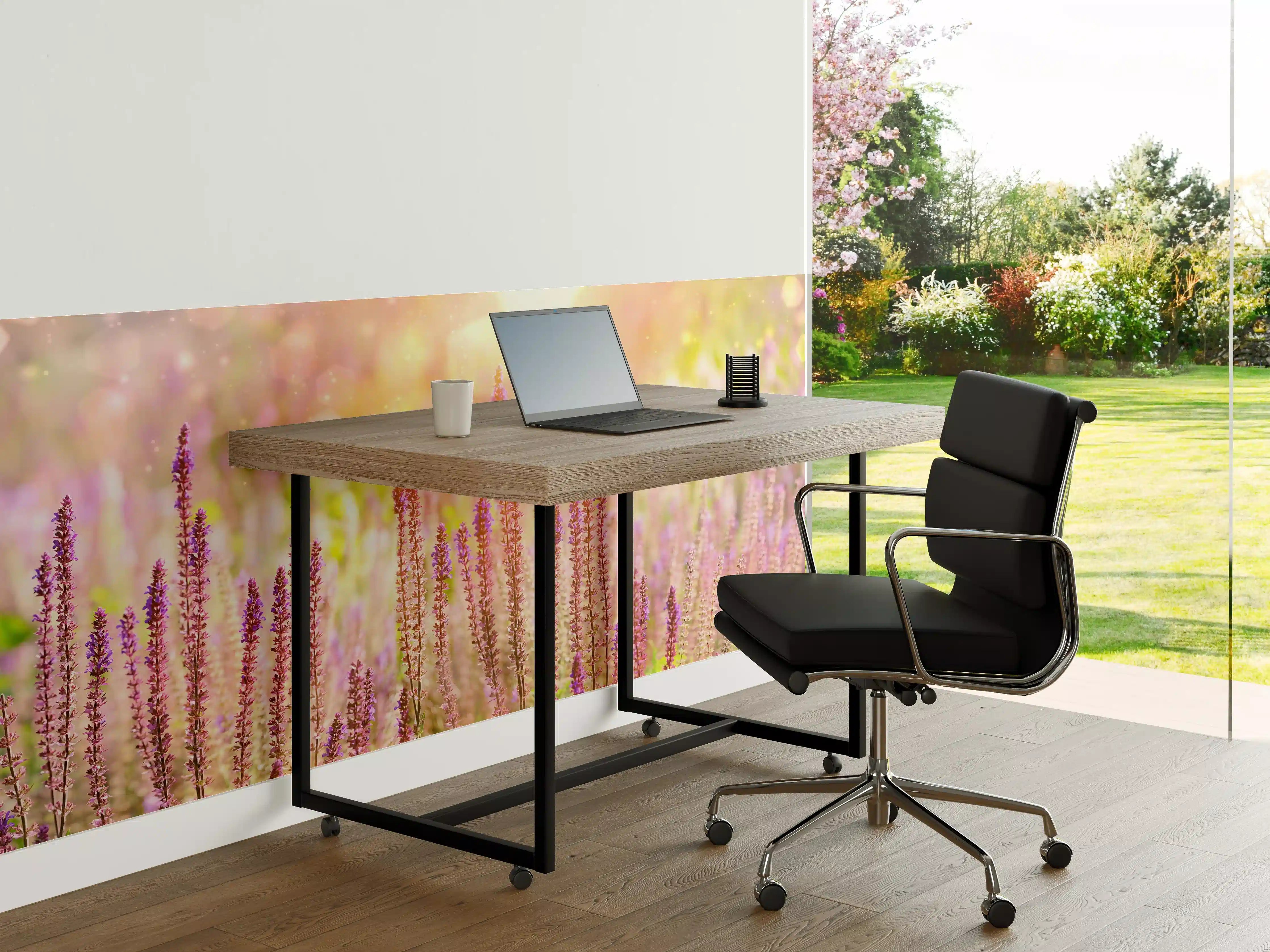 Büro Wandgestaltung - Farbenfrohe Blüten der Ziersalbei-Pflanzen