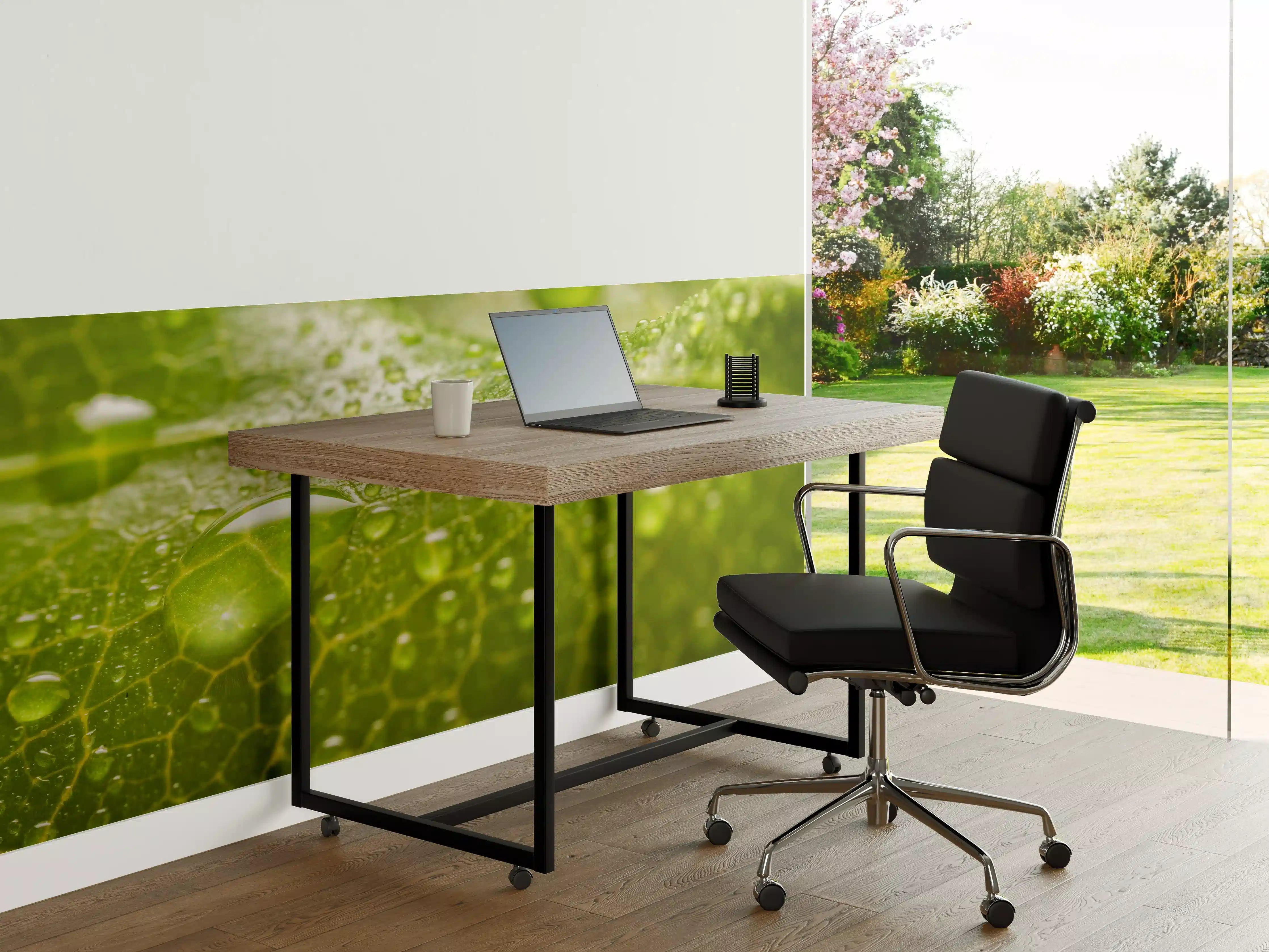 Büro Wandgestaltung - Feuchtes Blatt
