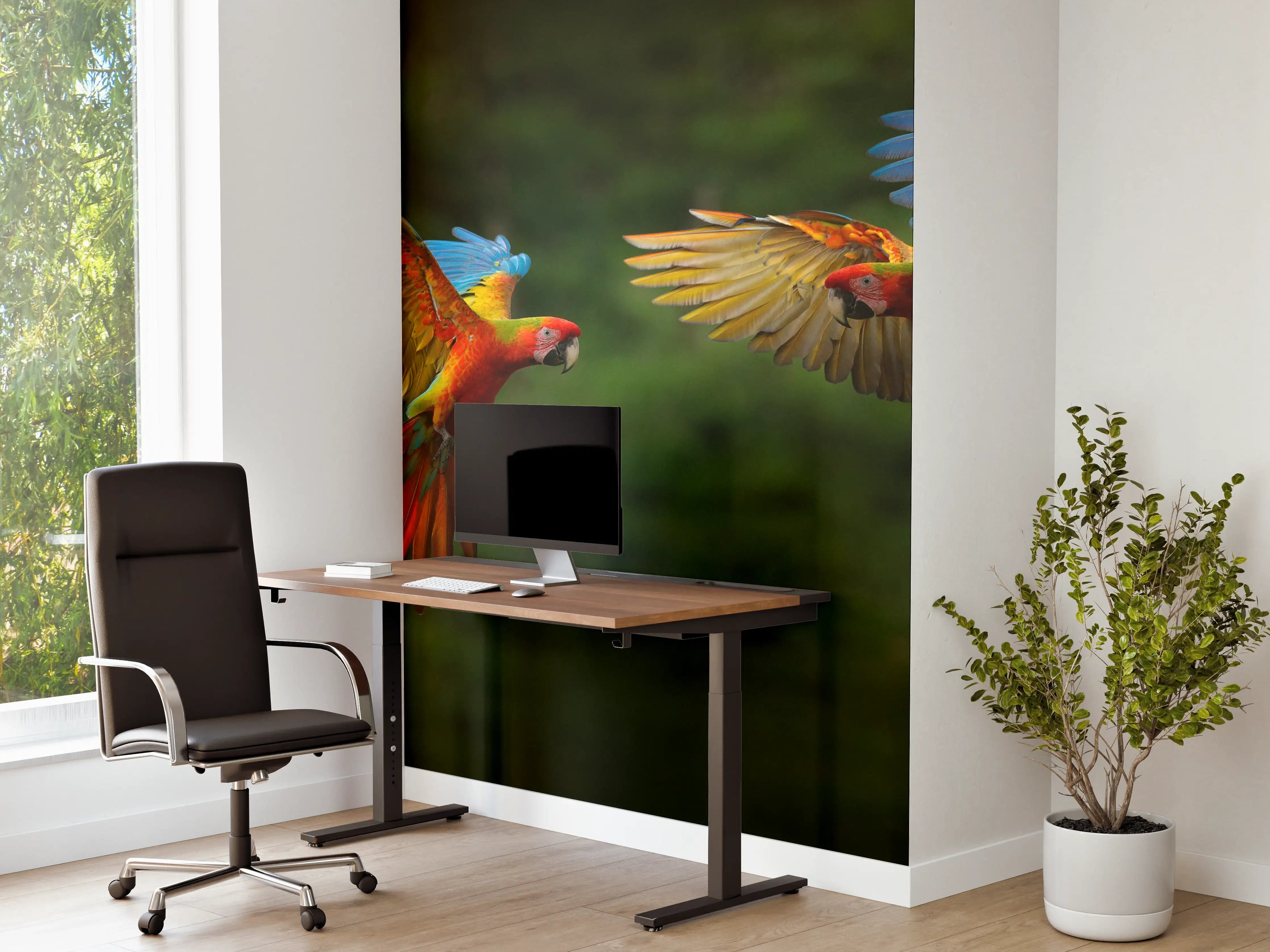 Büro Wandgestaltung - Fliegende bunte Papageien