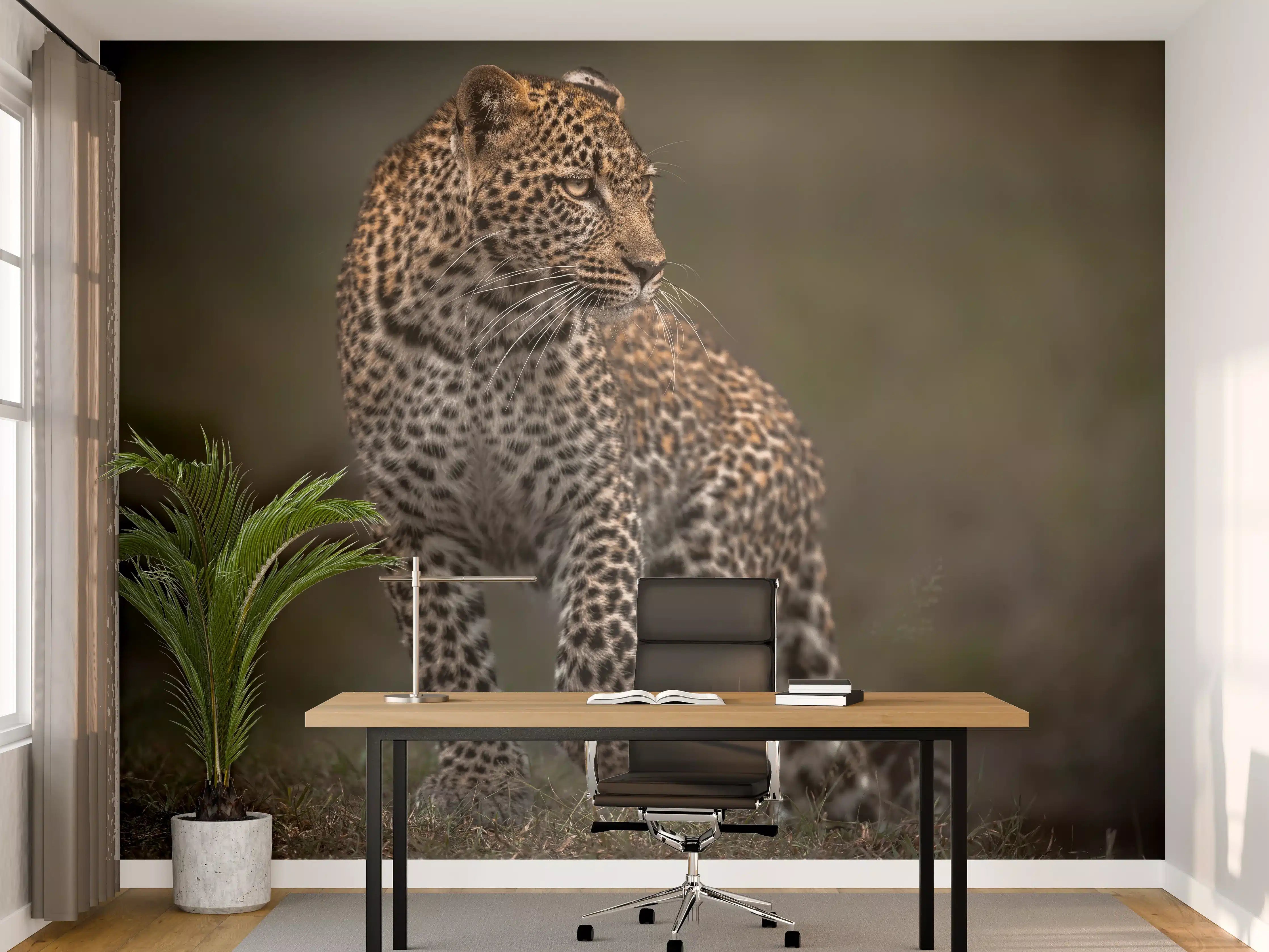 Büro Wandgestaltung - Fokussierter Leopard - Savanne