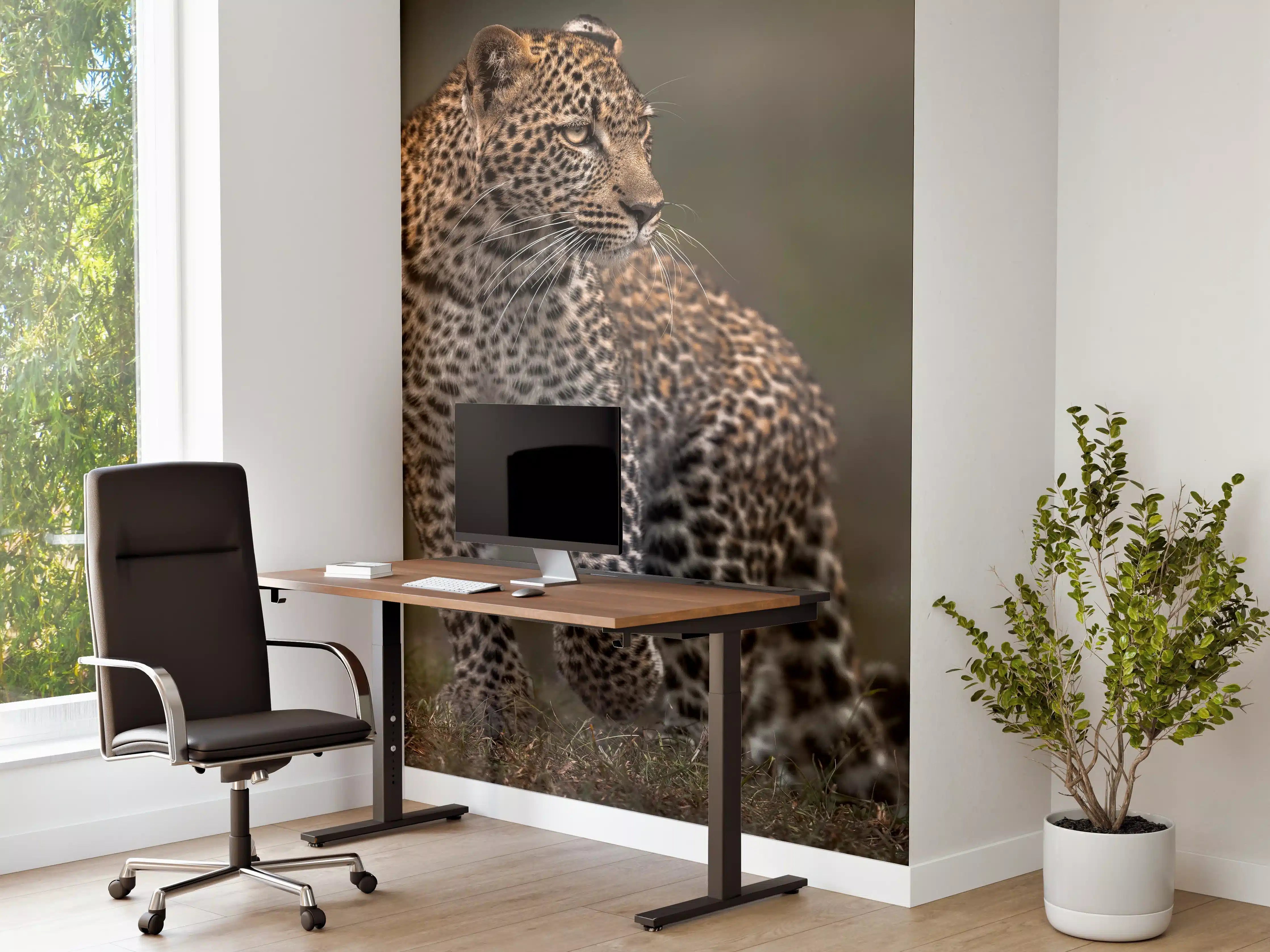 Büro Wandgestaltung - Fokussierter Leopard - Savanne