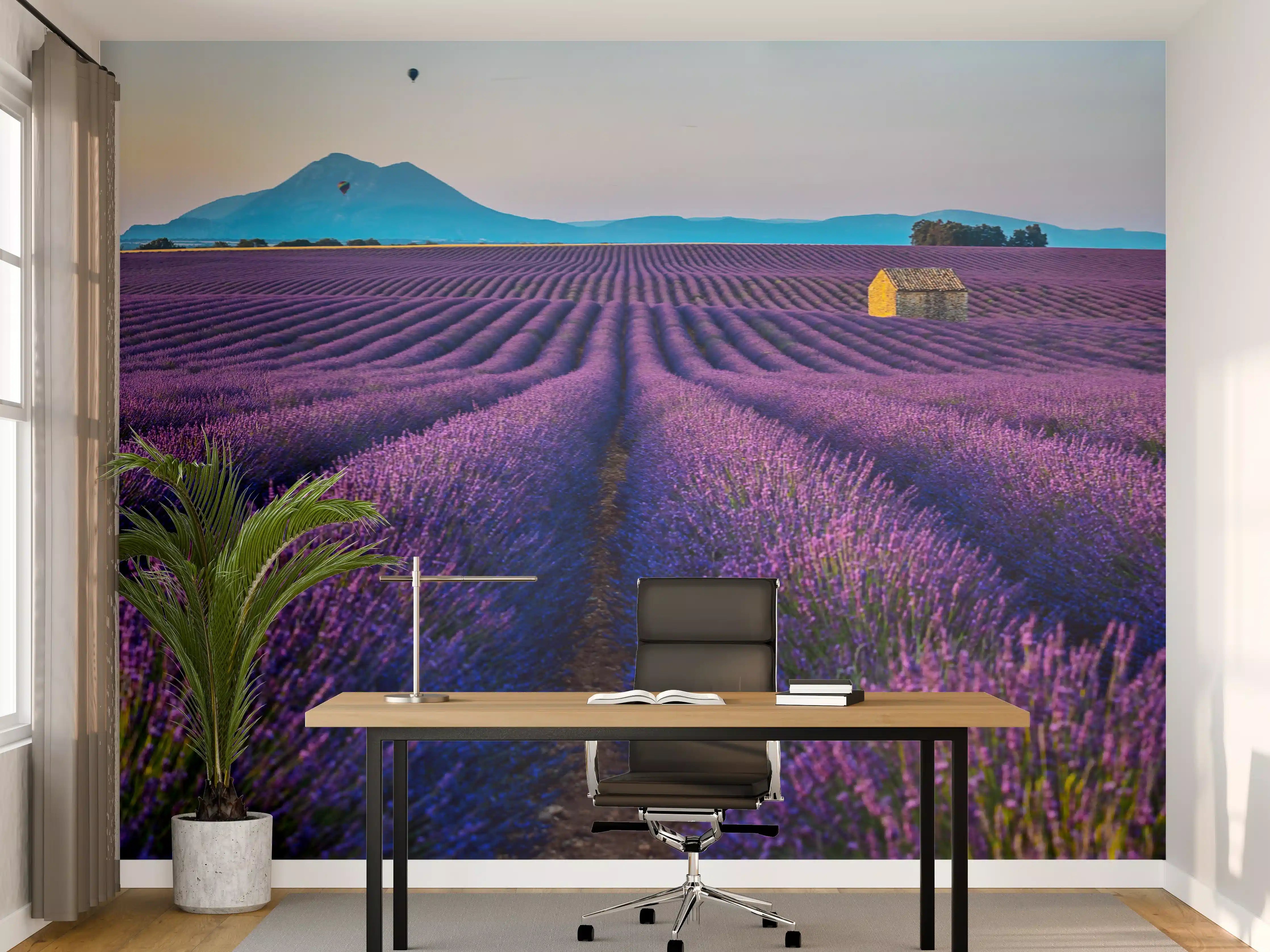 Büro Wandgestaltung - Französische Lavendelfelder