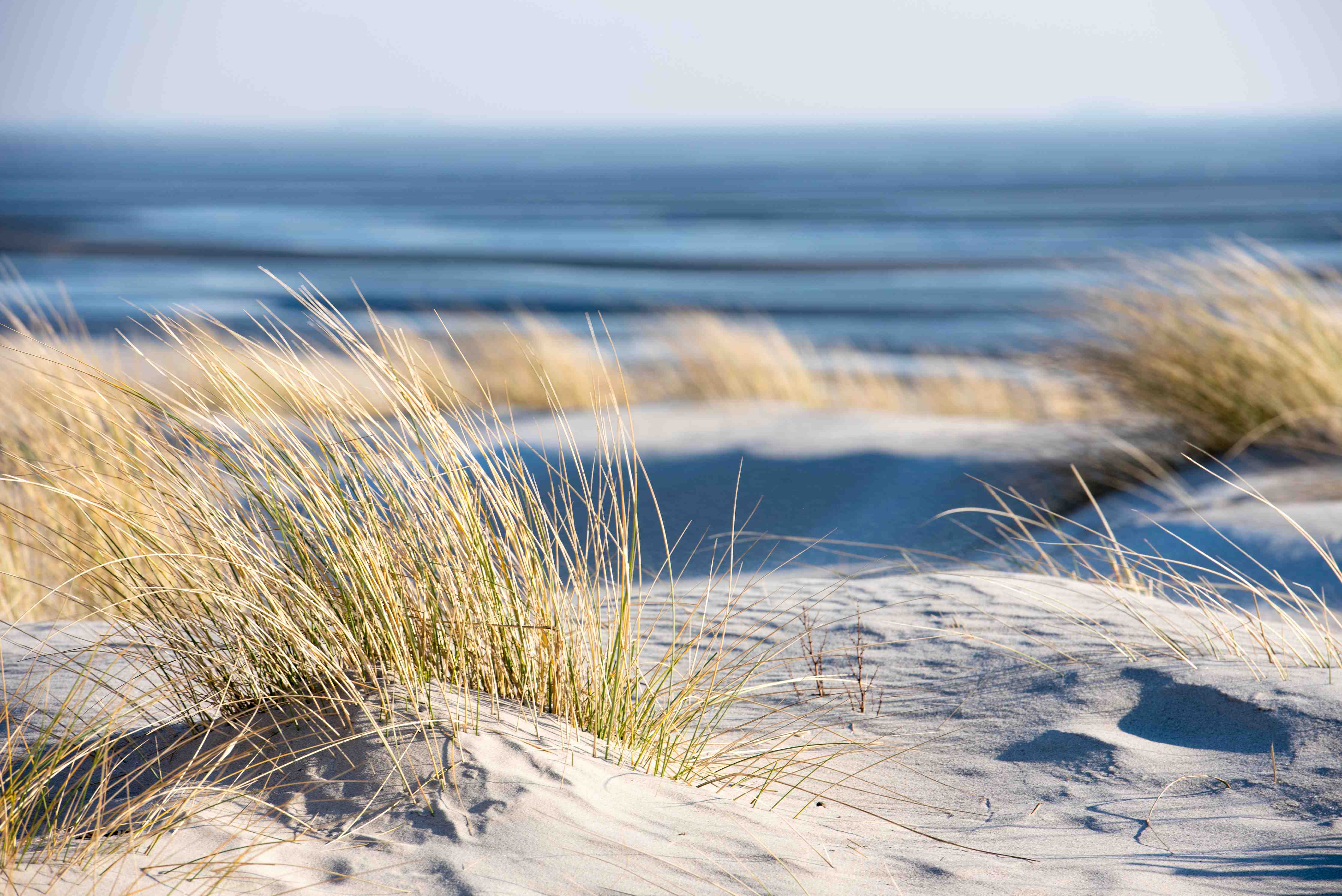 Büro Wandgestaltung-Friedlicher Strand - Nordsee