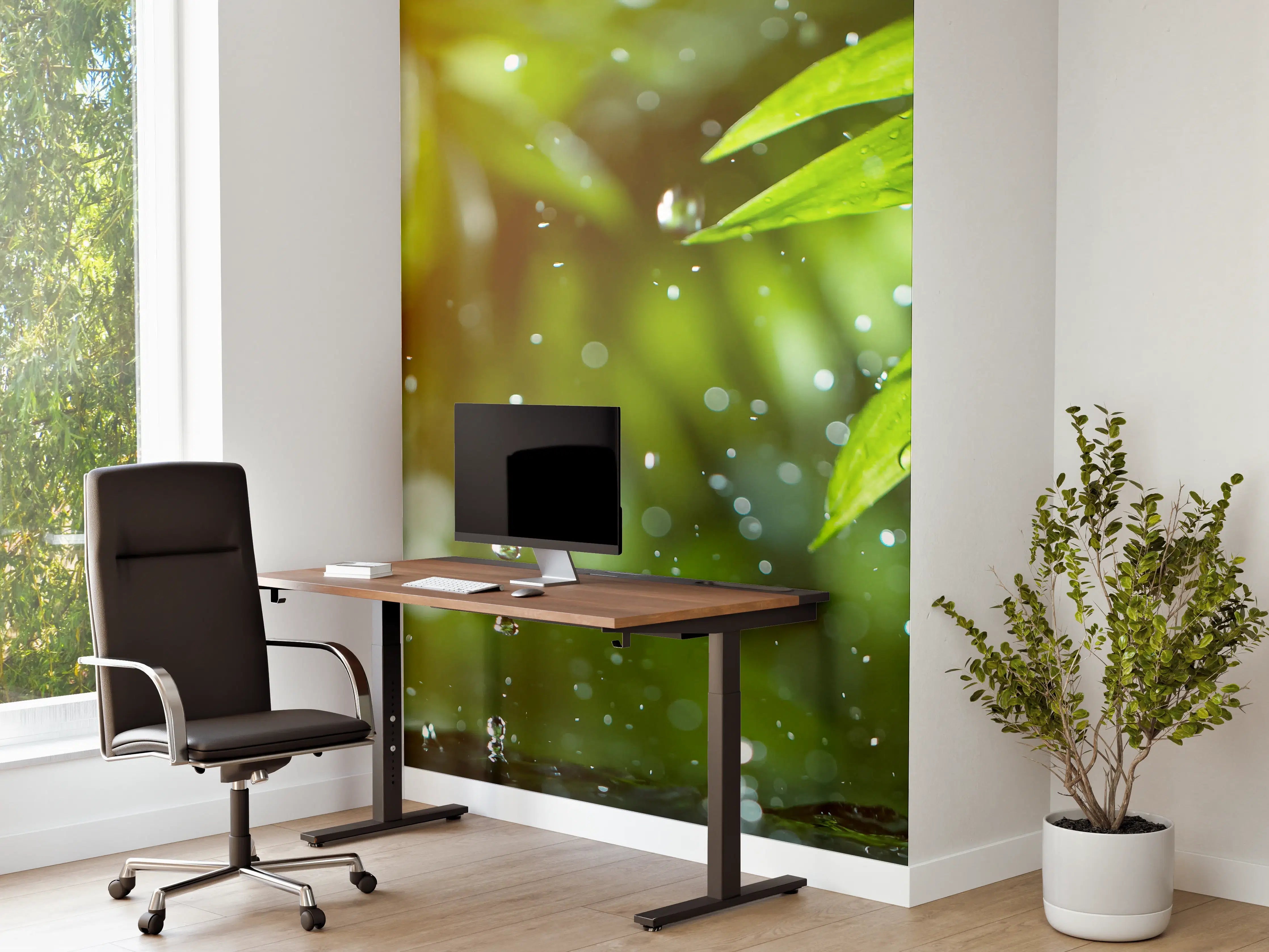 Büro Wandgestaltung - Frische Blätter mit Wassertropfen