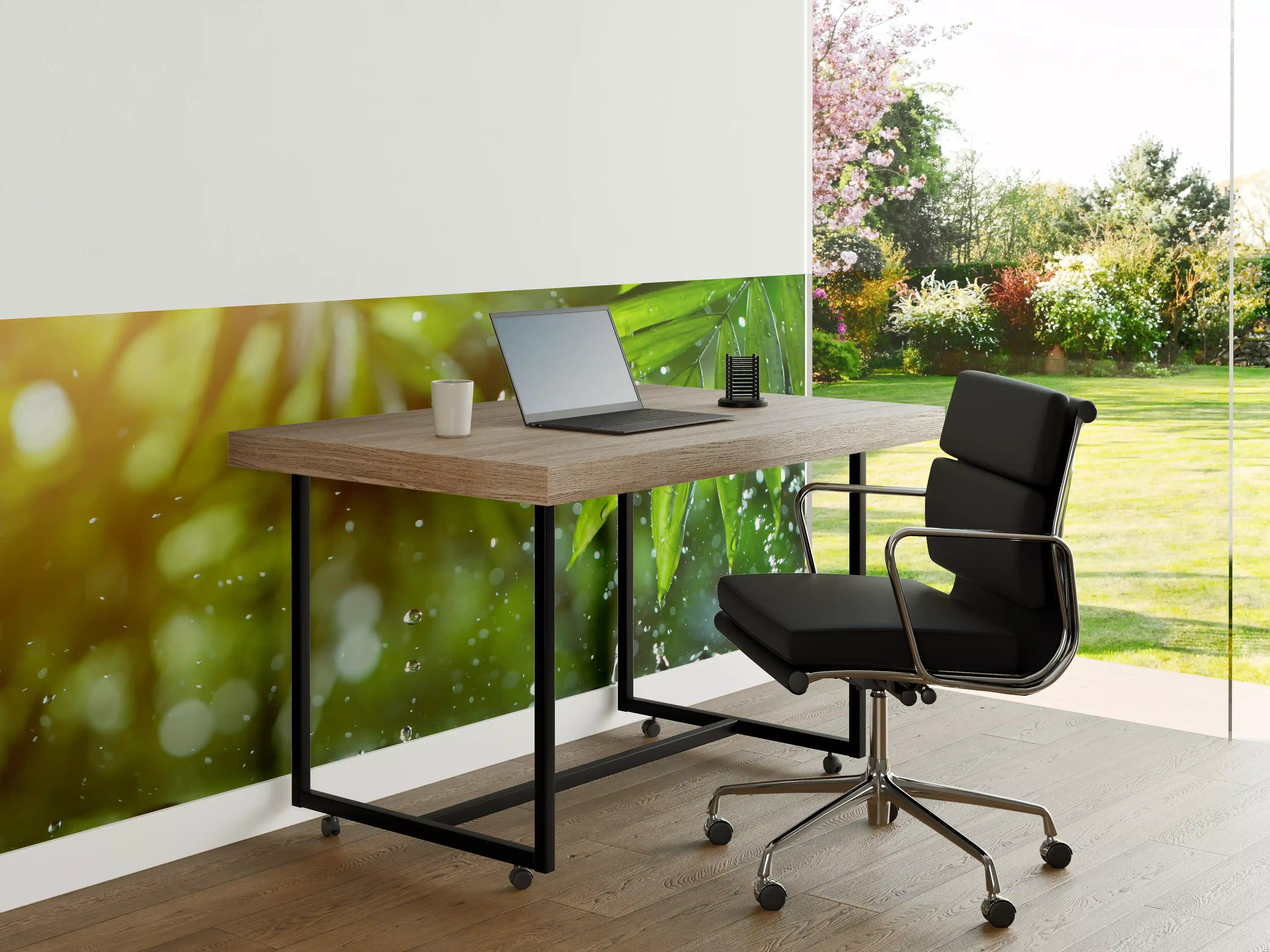 Büro Wandgestaltung - Frische Blätter mit Wassertropfen