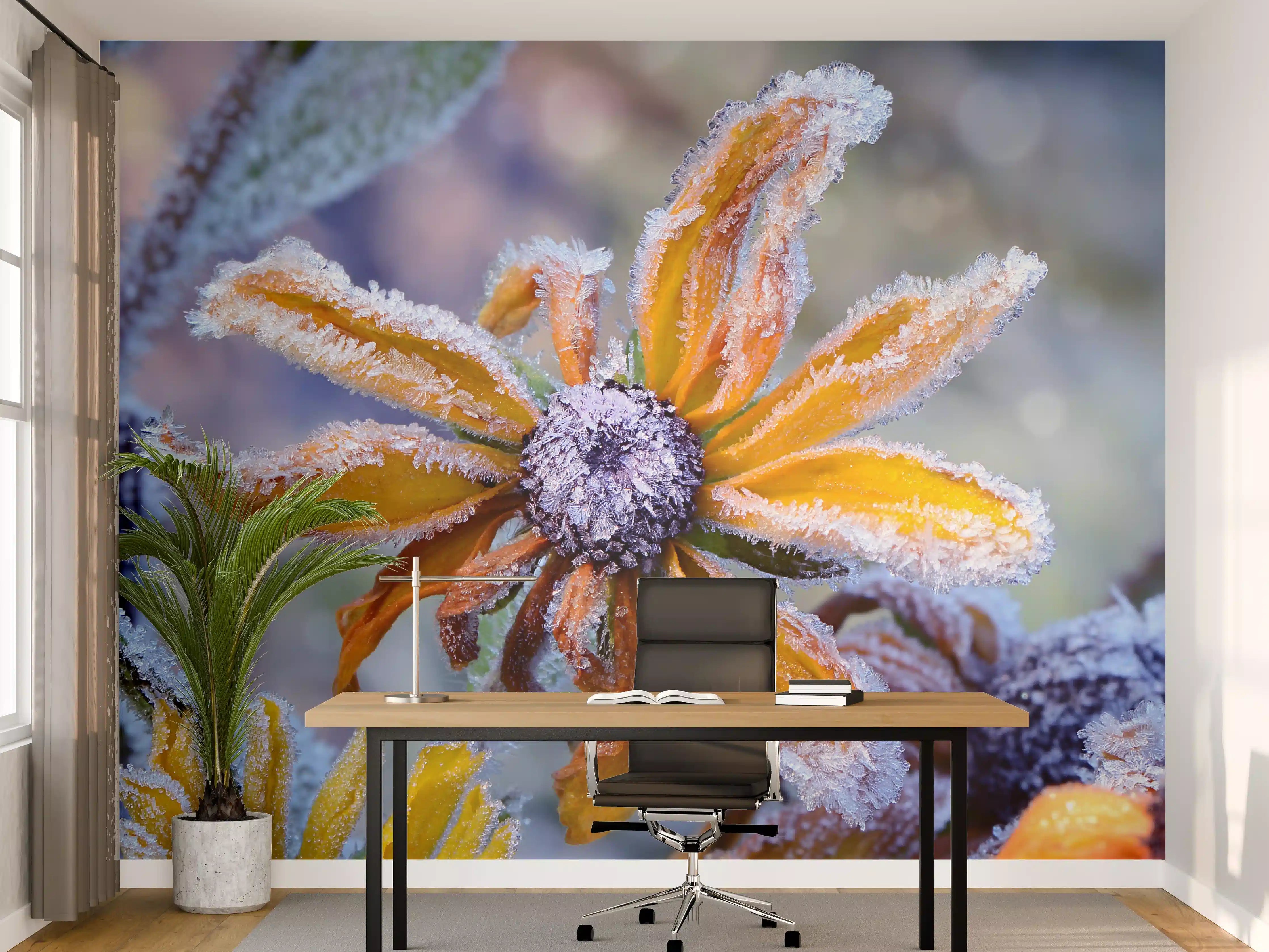 Büro Wandgestaltung - Frostige Blumen im Morgenlicht