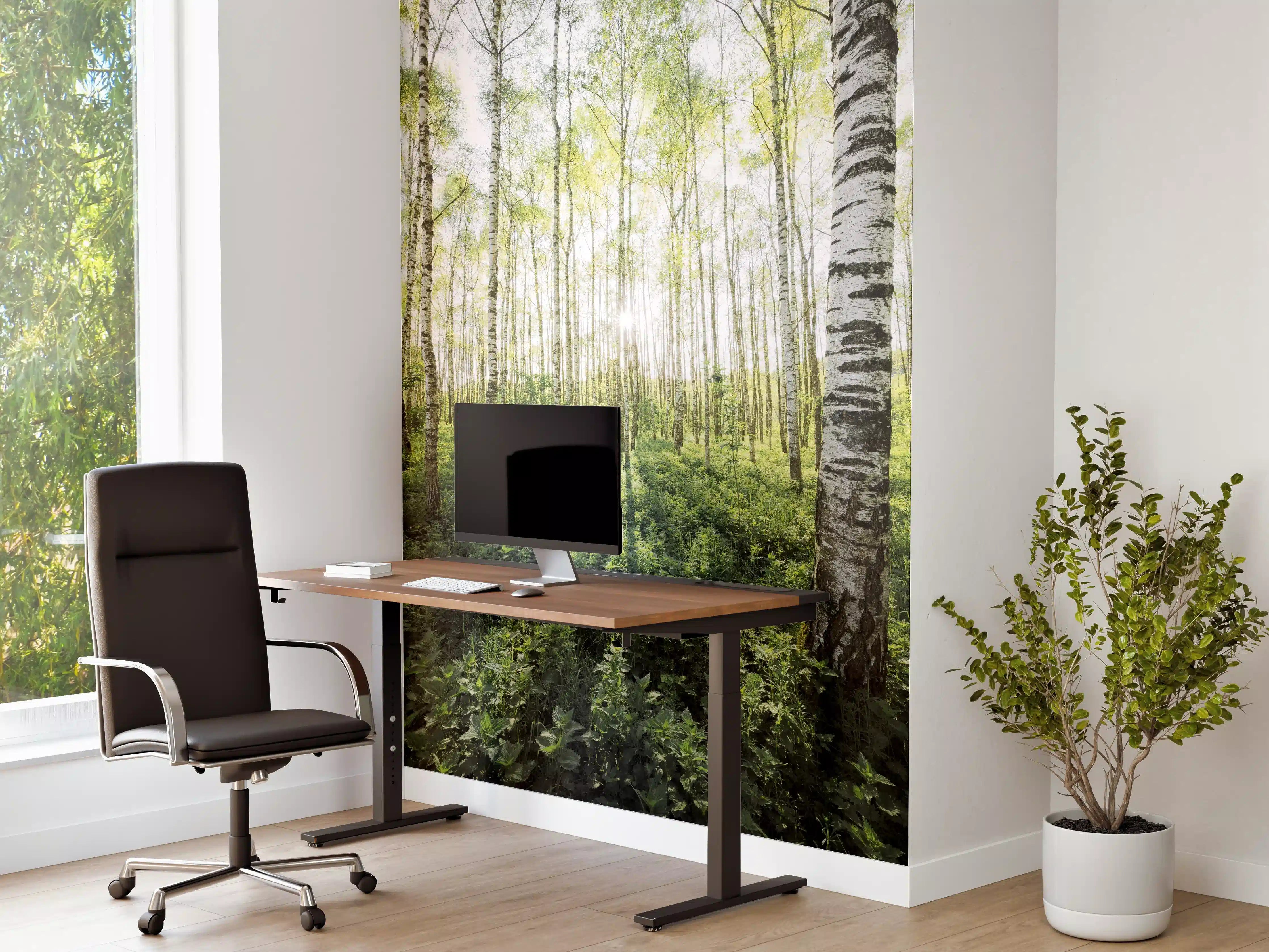 Büro Wandgestaltung - Frühlings-Birkenwald Lichtspiel