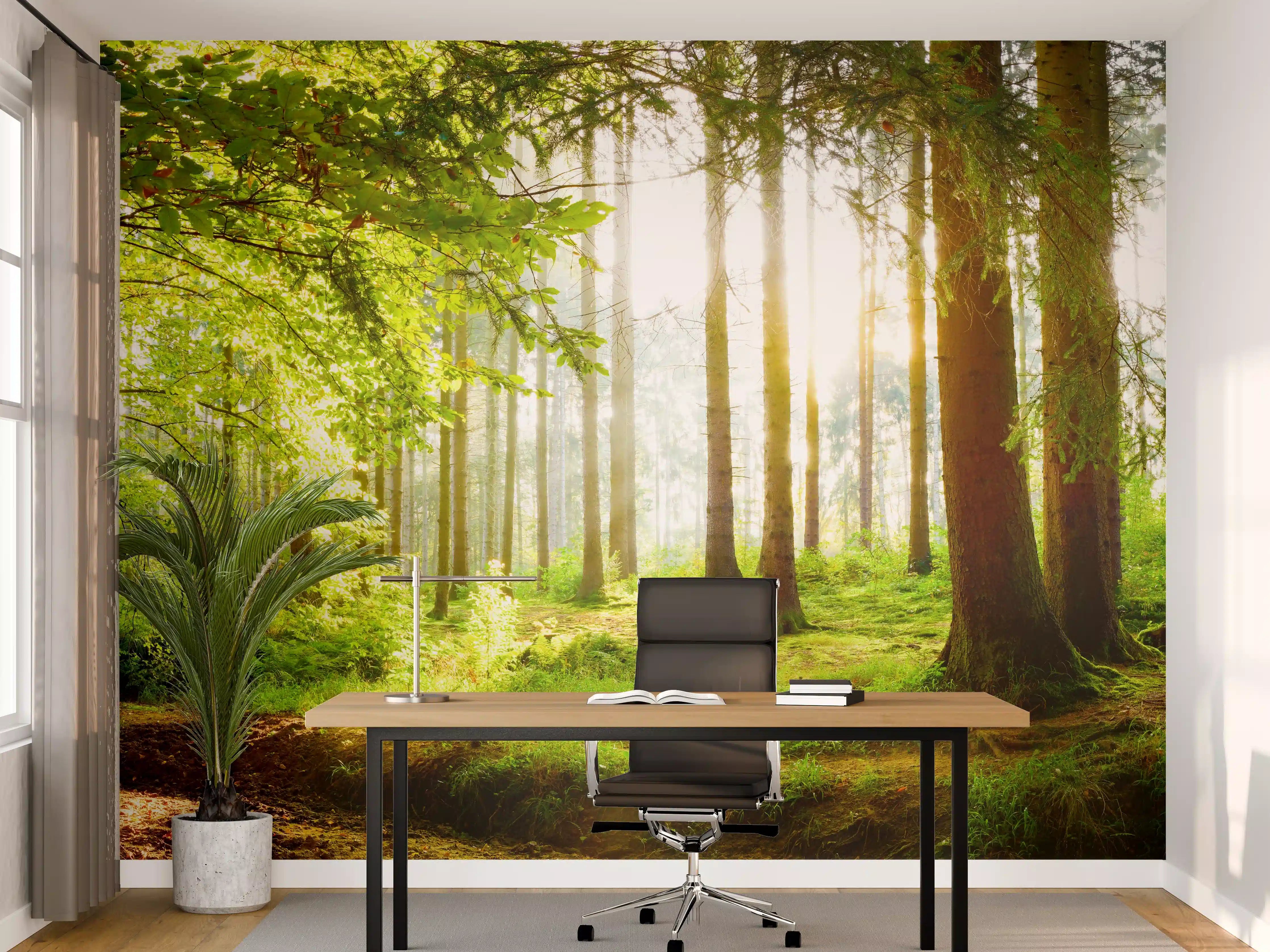 Büro Wandgestaltung - Frühlingswald mit Sonnenschein