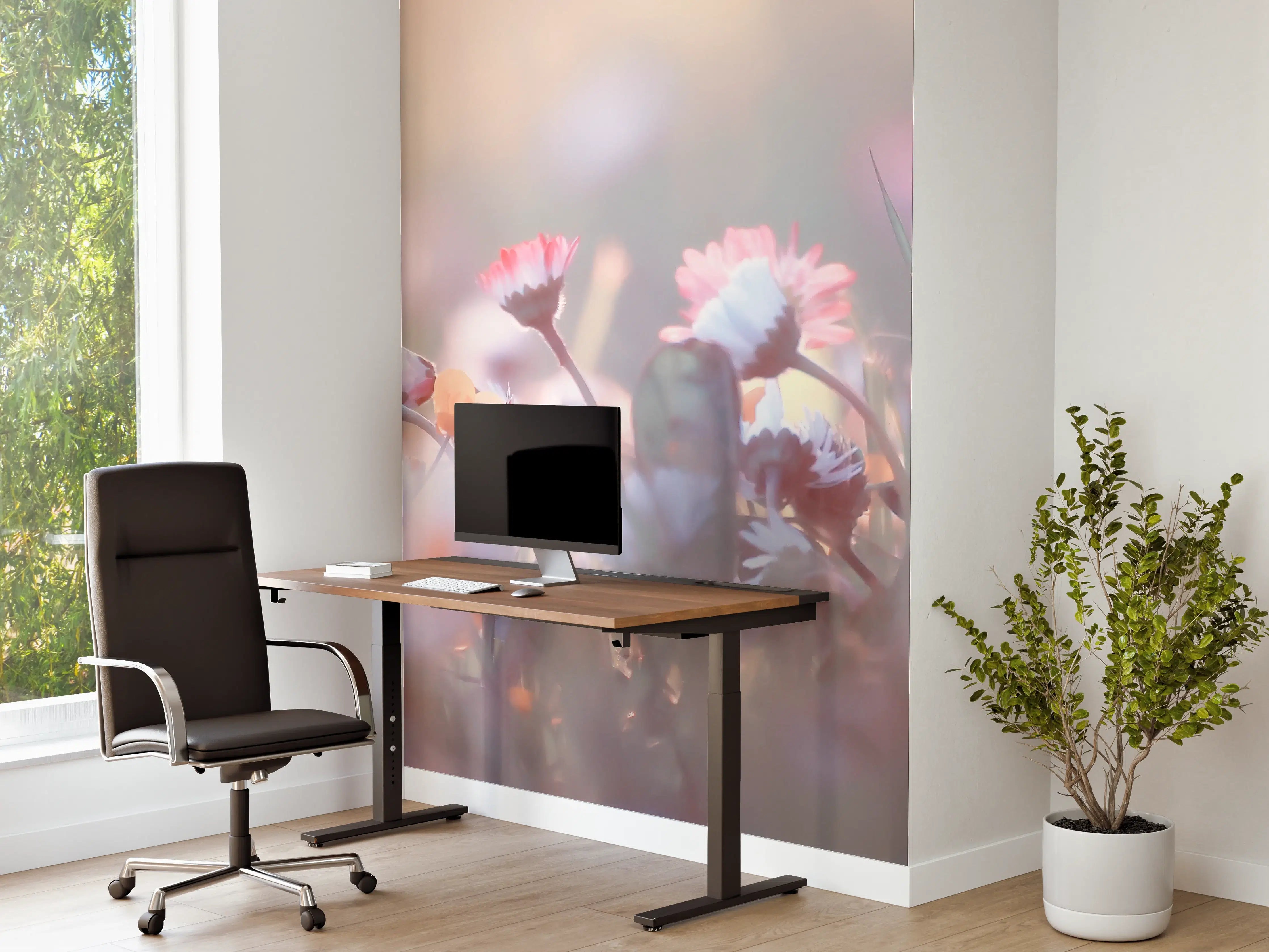 Büro Wandgestaltung - Gänseblümchen in der Natur