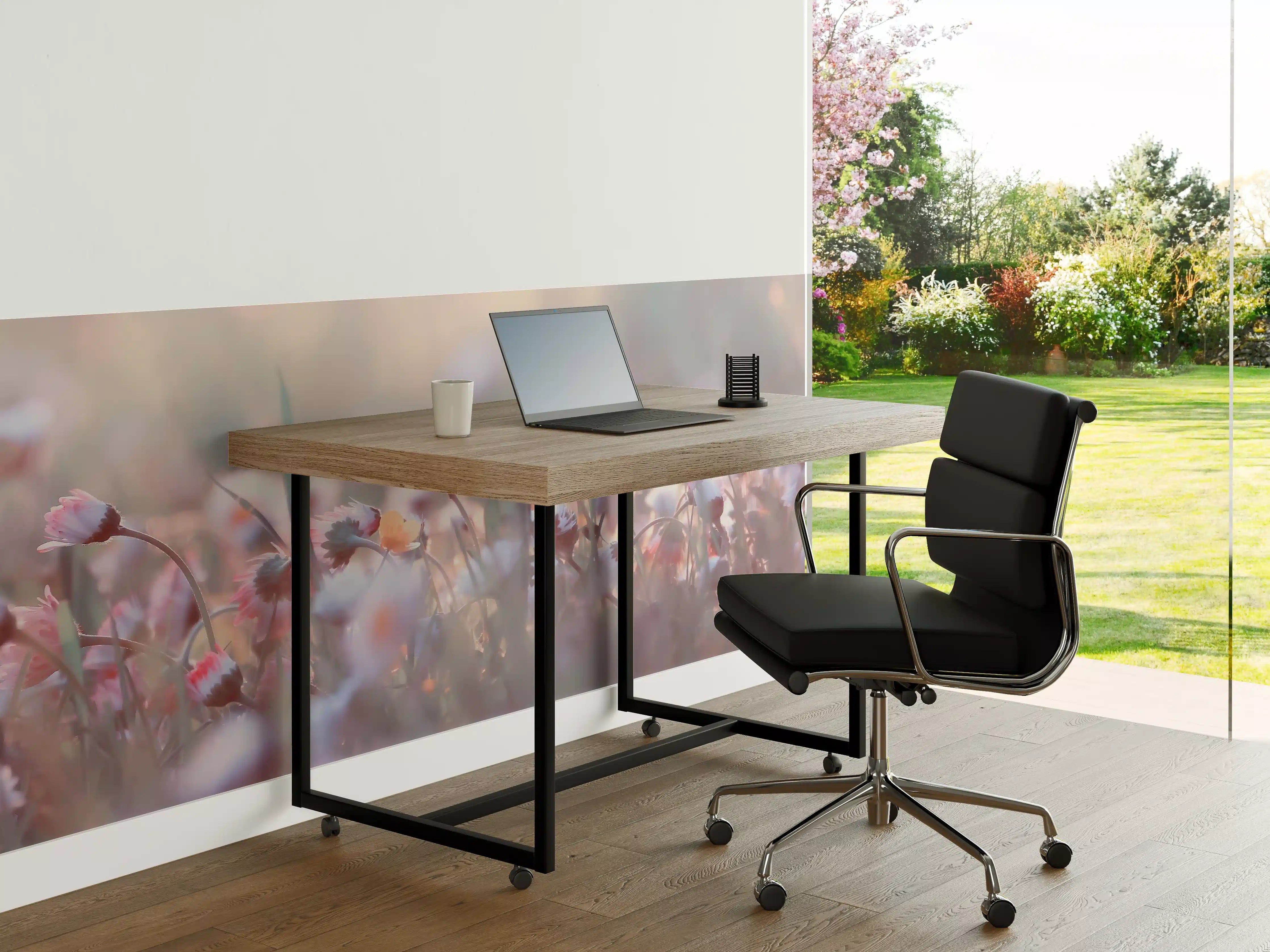 Büro Wandgestaltung - Gänseblümchen in der Natur