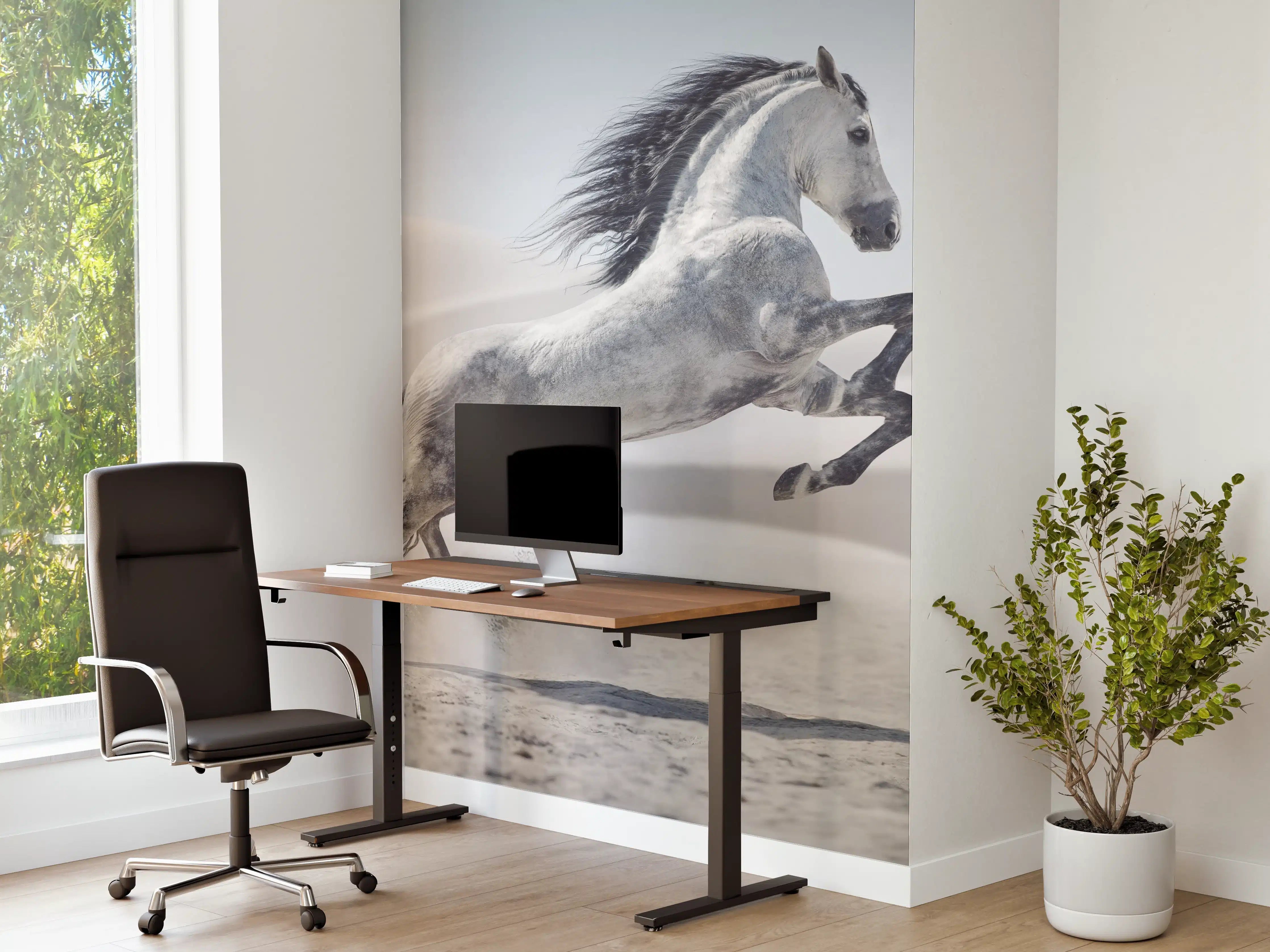 Büro Wandgestaltung - Galoppierendes weißes Pferd