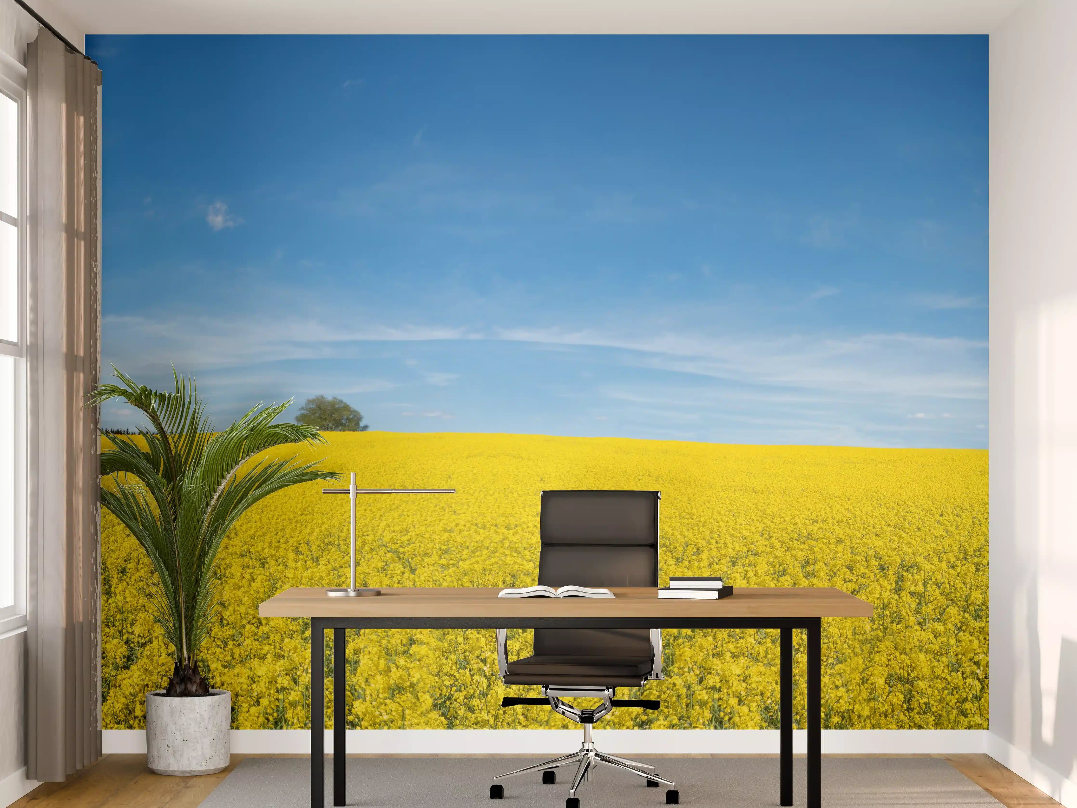 Büro Wandgestaltung - Gelbes Rapsfeld blauer Himmel