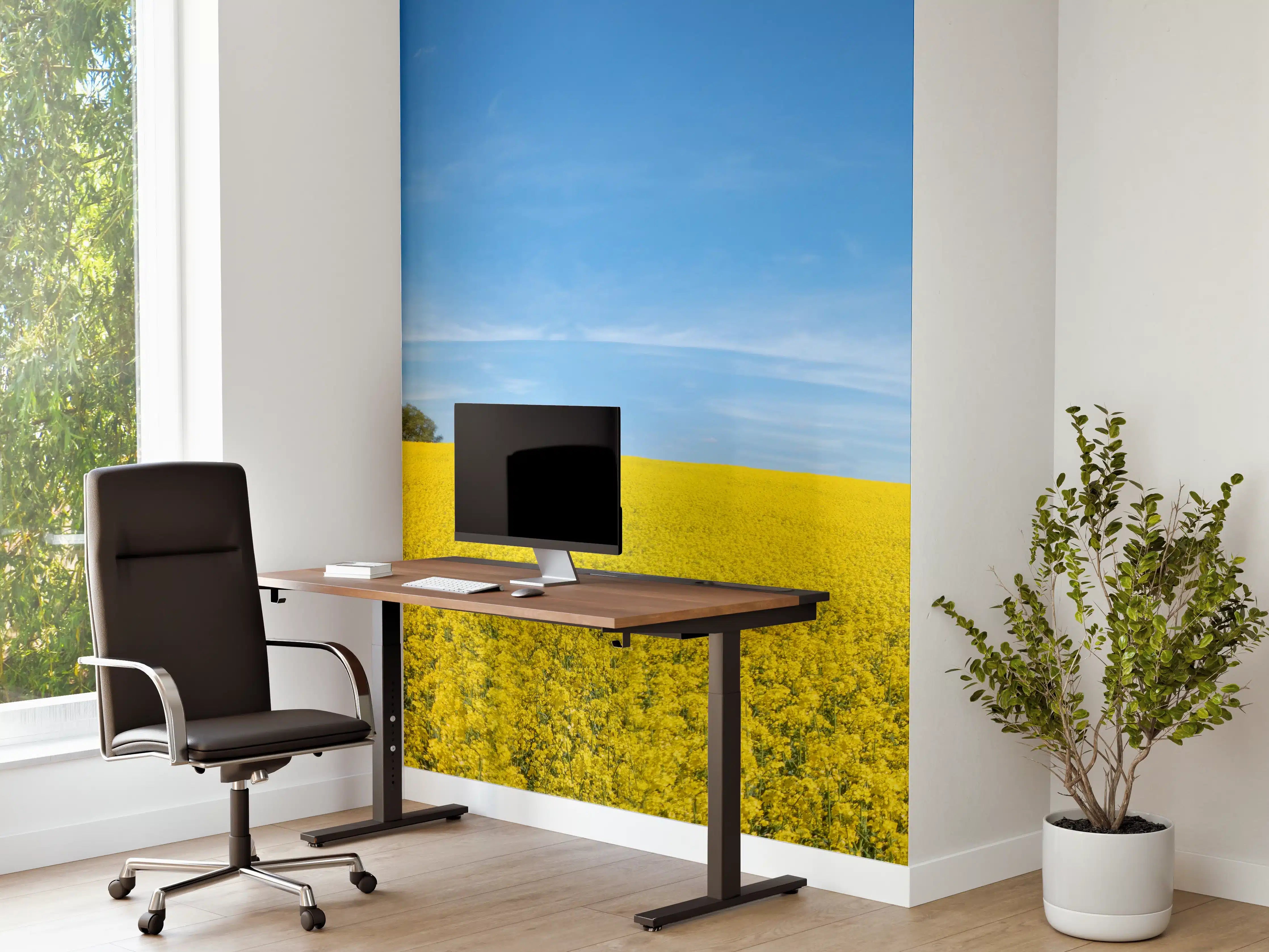 Büro Wandgestaltung - Gelbes Rapsfeld blauer Himmel