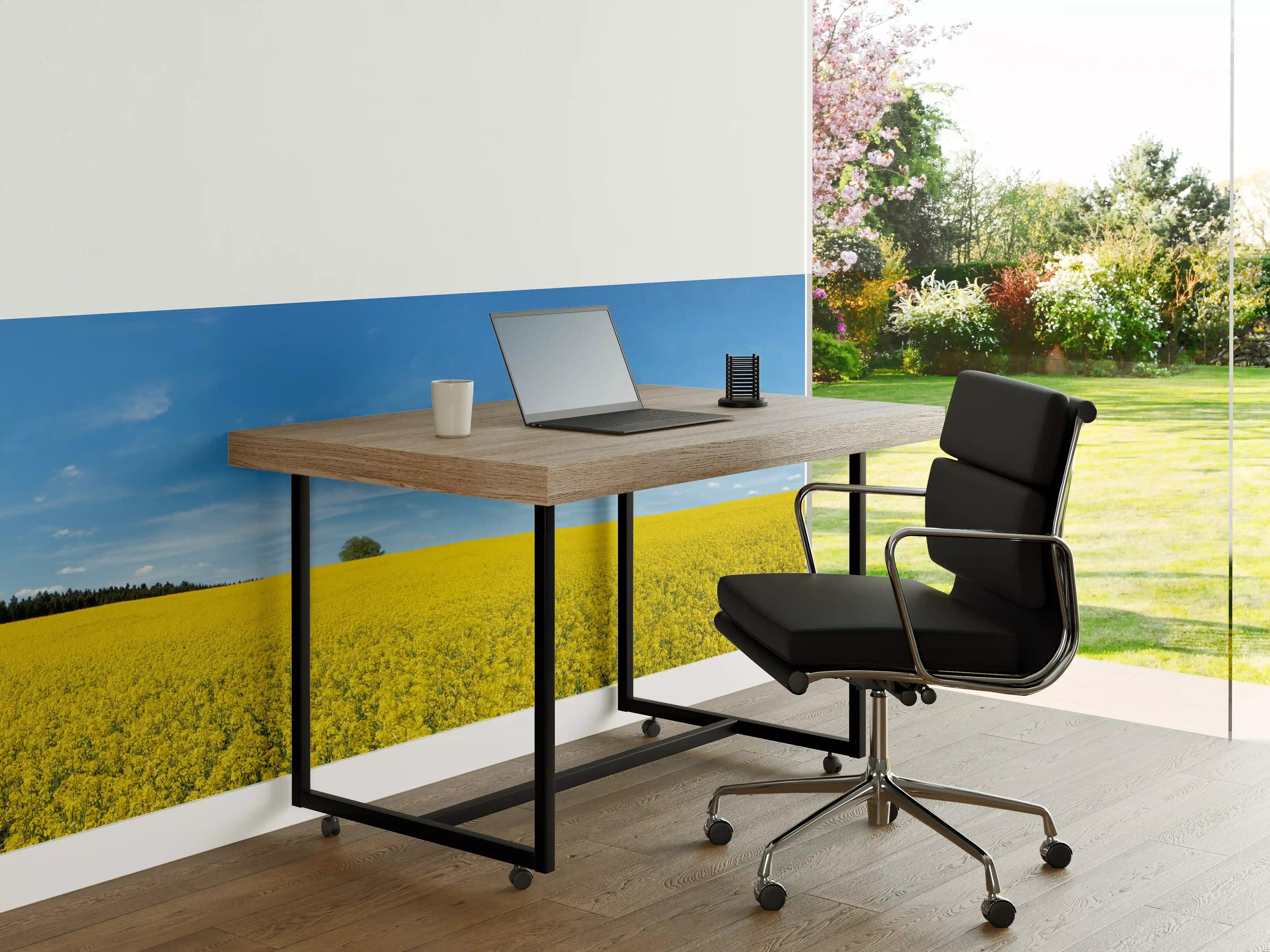 Büro Wandgestaltung - Gelbes Rapsfeld blauer Himmel