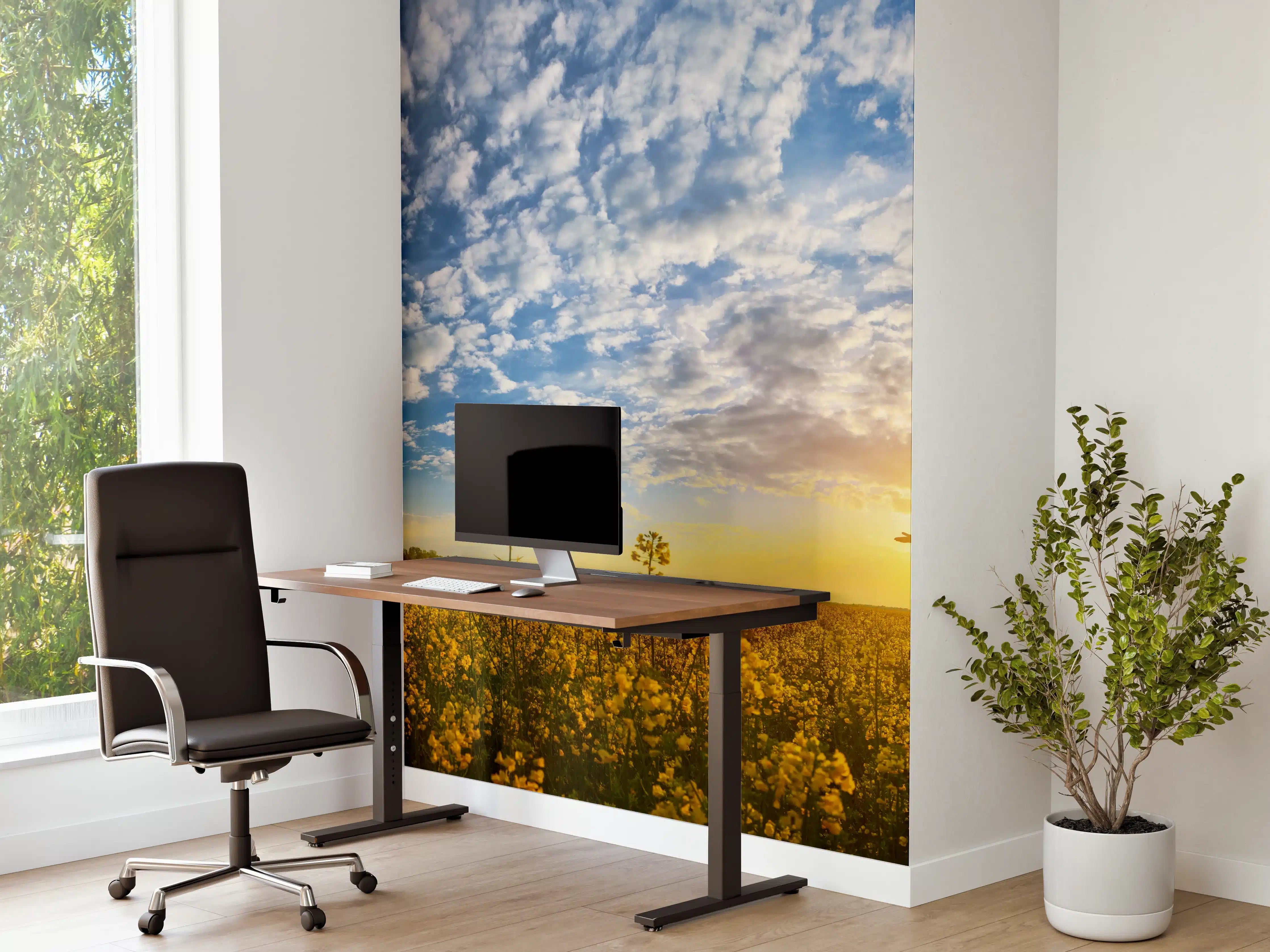 Büro Wandgestaltung - Gelbliches Blumenfeld am Morgen