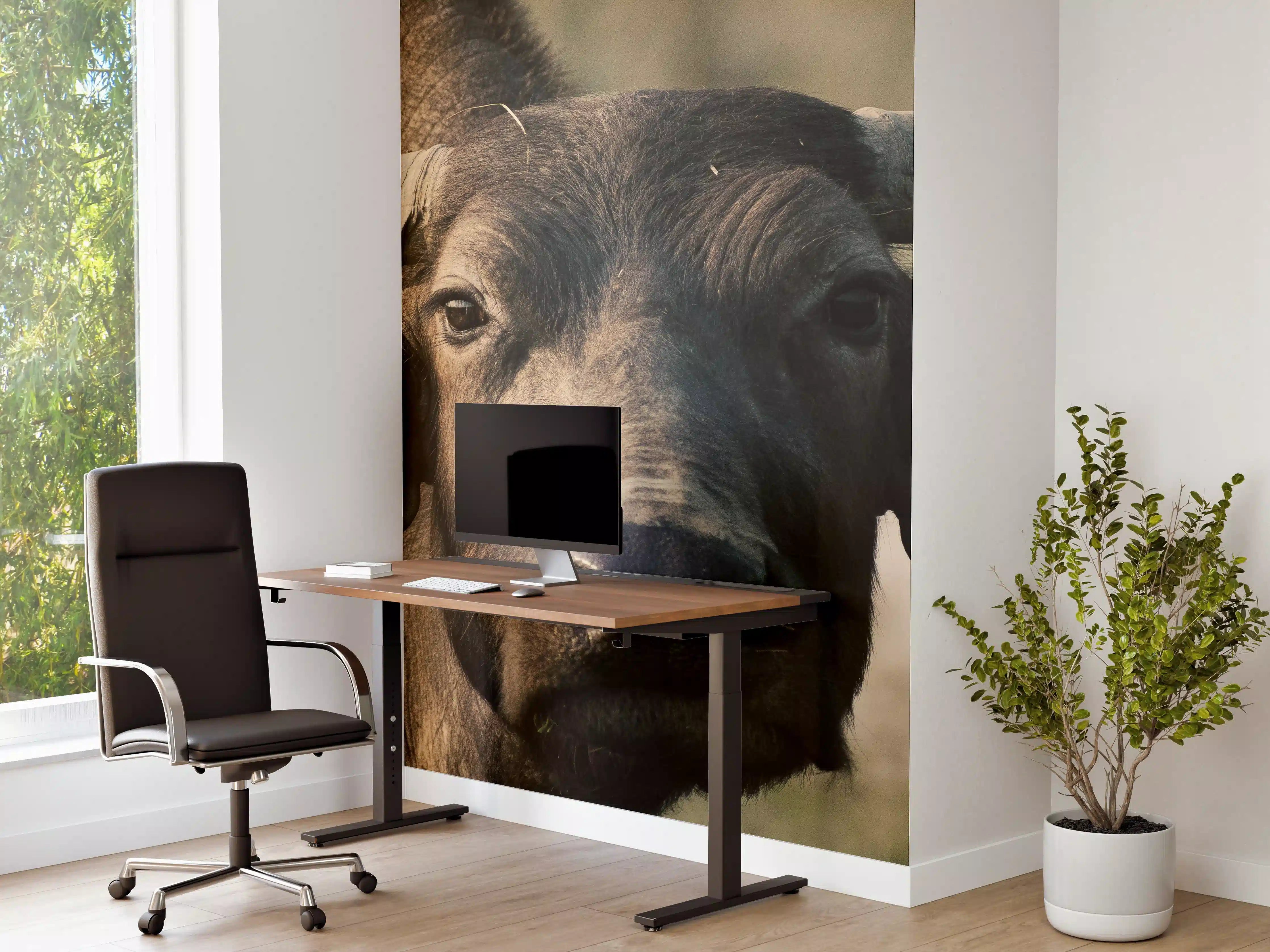 Büro Wandgestaltung - Gesicht eines Büffels