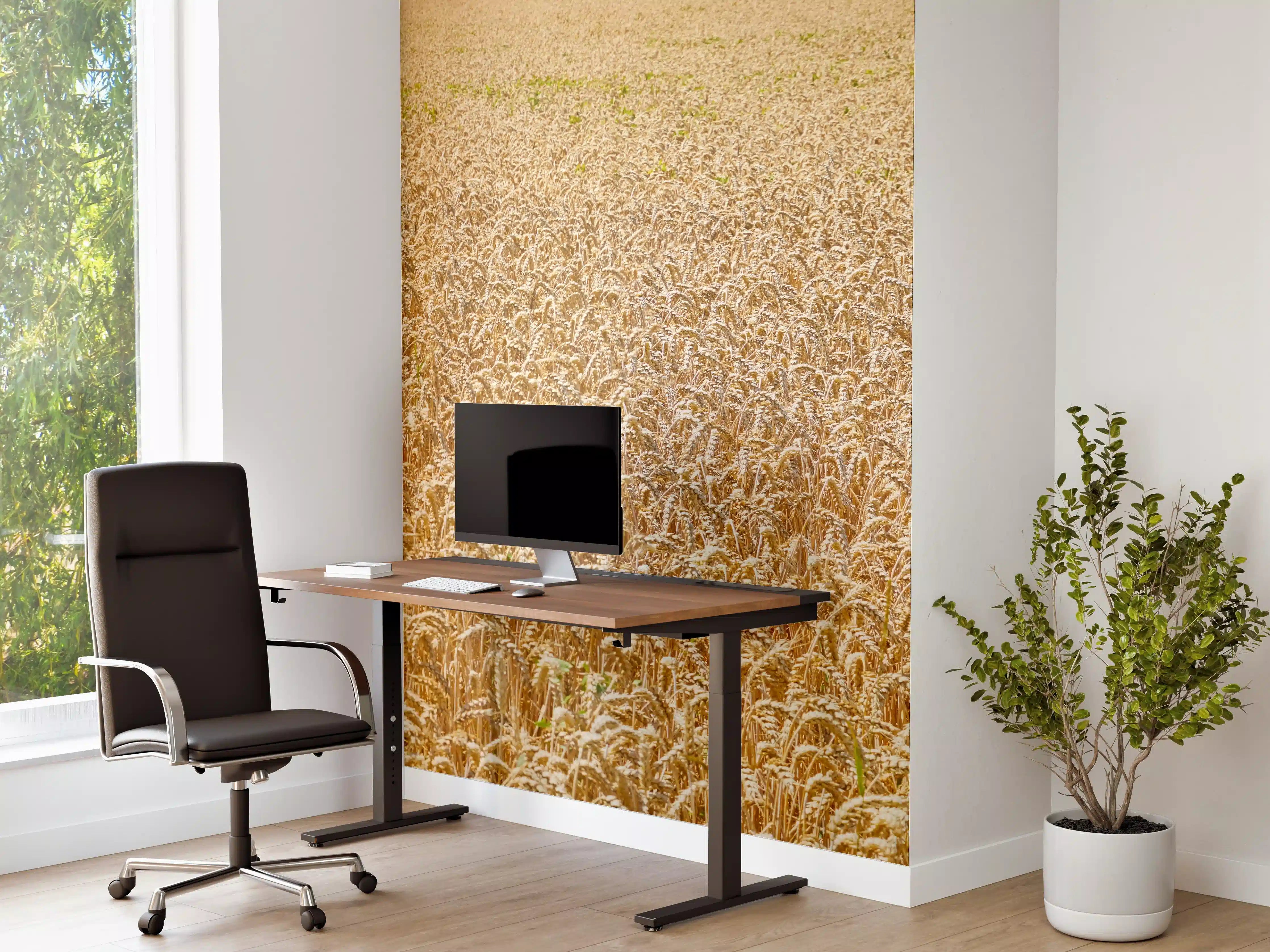 Büro Wandgestaltung - Getreidefeld - Panoramabild
