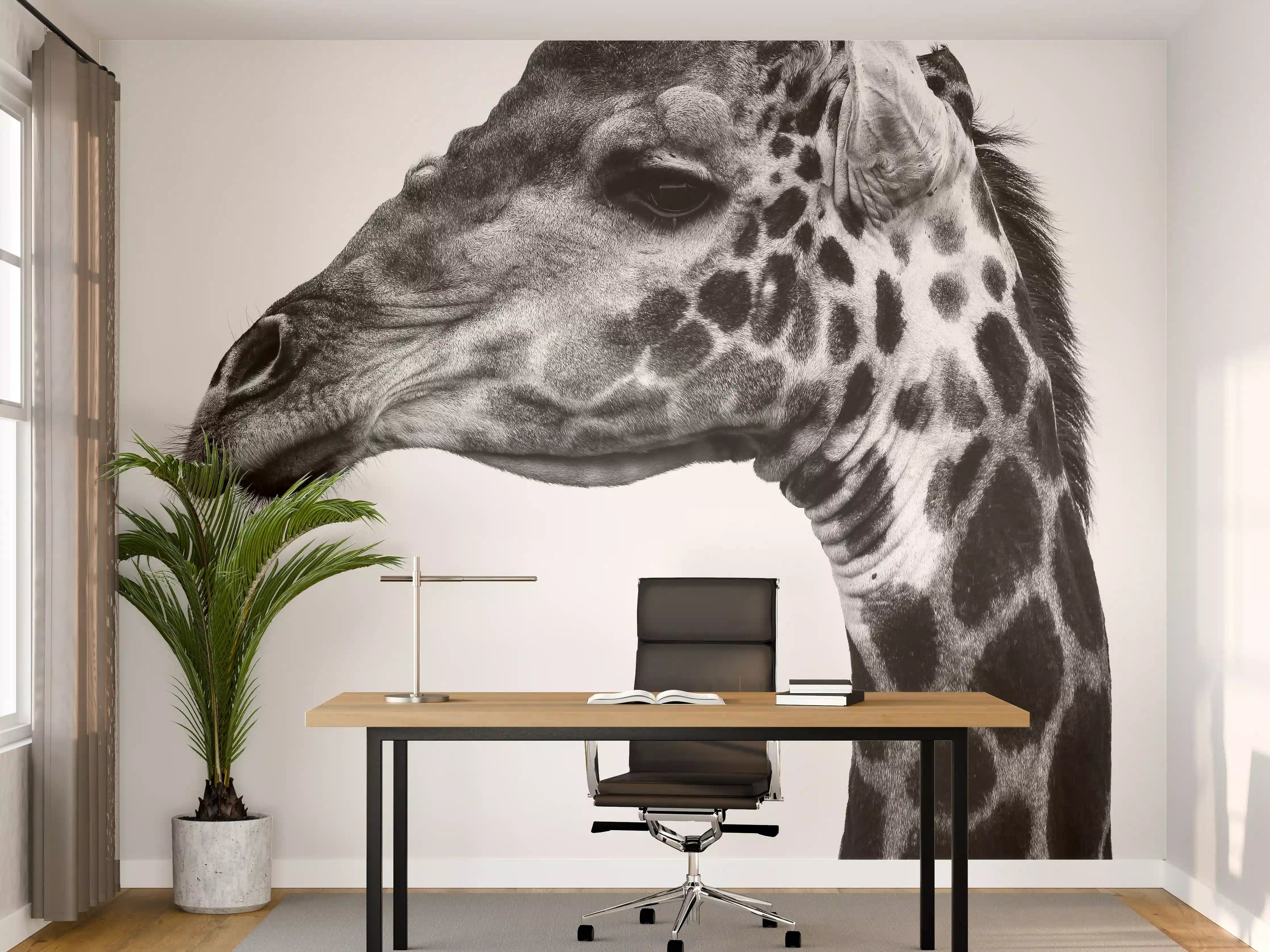 Büro Wandgestaltung - Giraffe - schwarz-weiß
