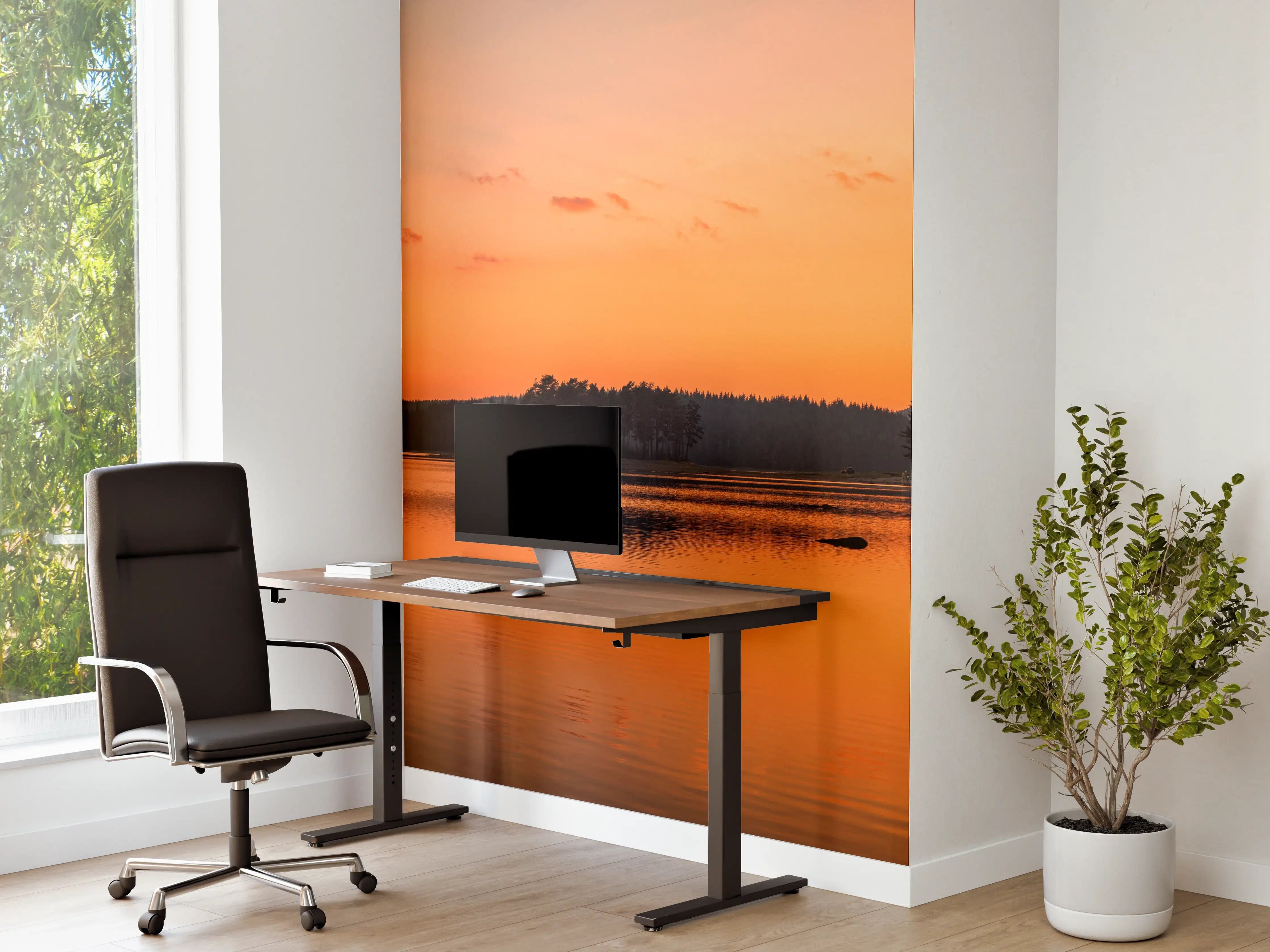 Büro Wandgestaltung - Goldener See - Bulgarien