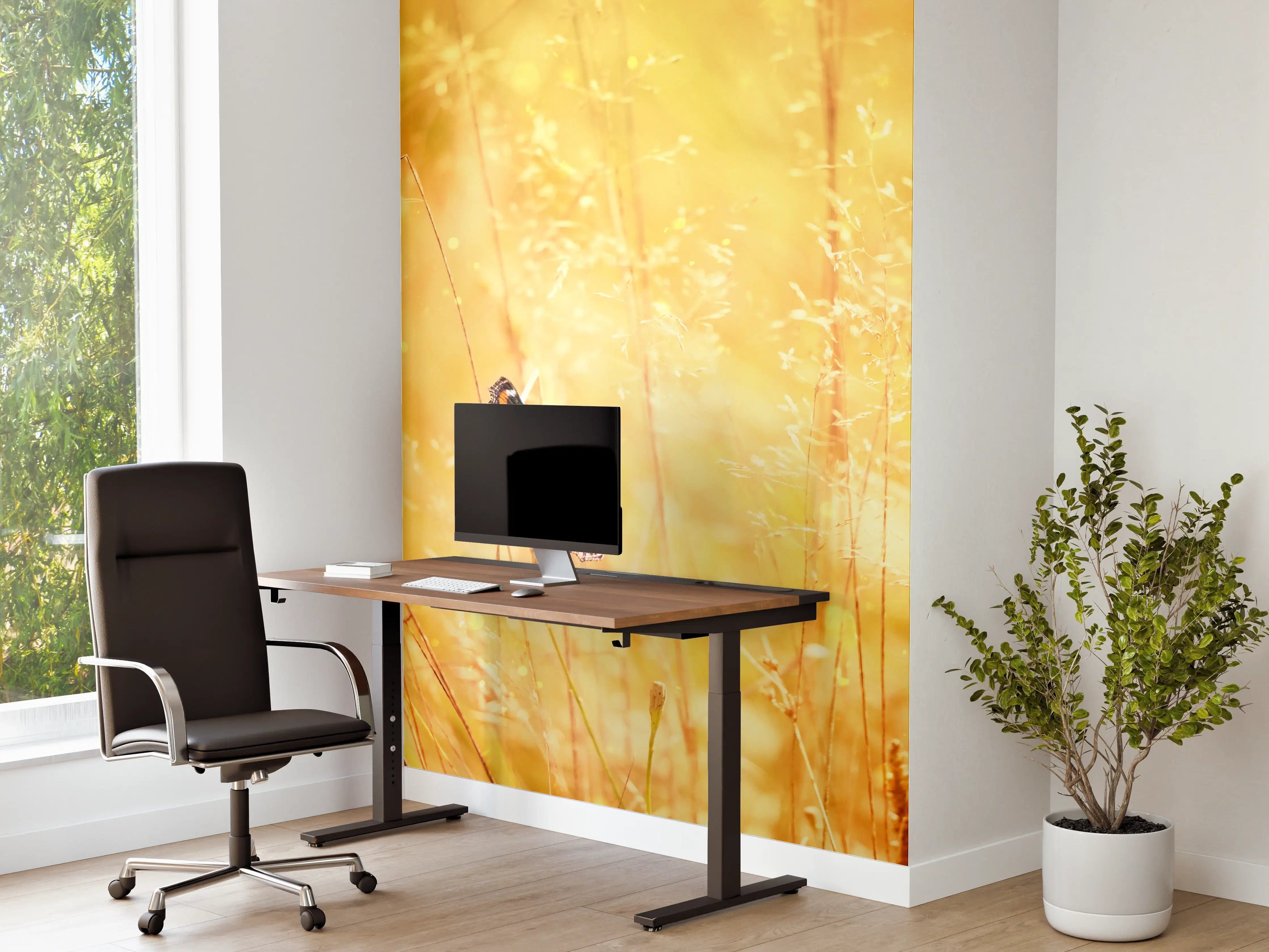 Büro Wandgestaltung - Goldener Sonnenuntergang mit Schmetterling