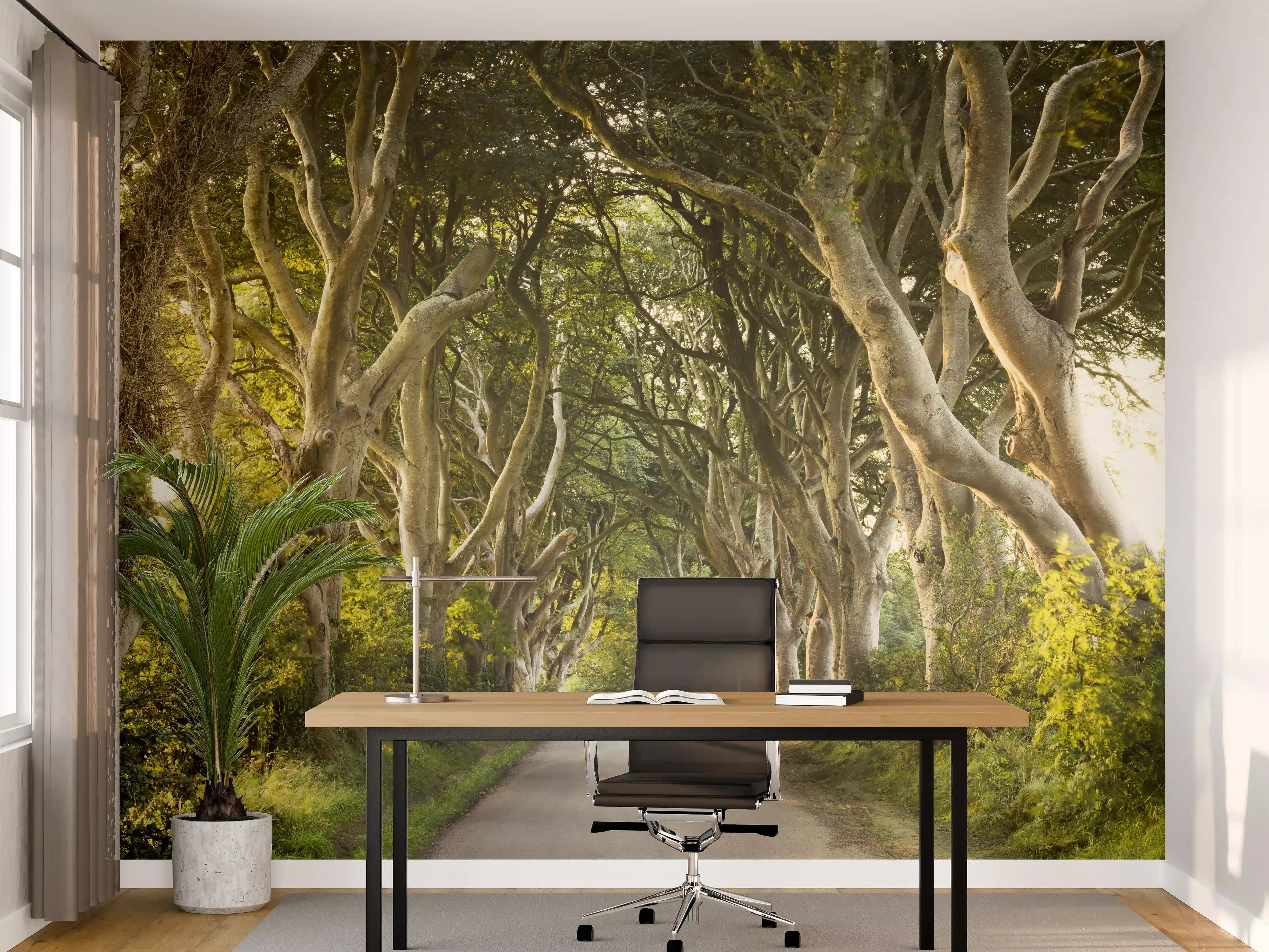 Büro Wandgestaltung - Goldener Weg im Wald