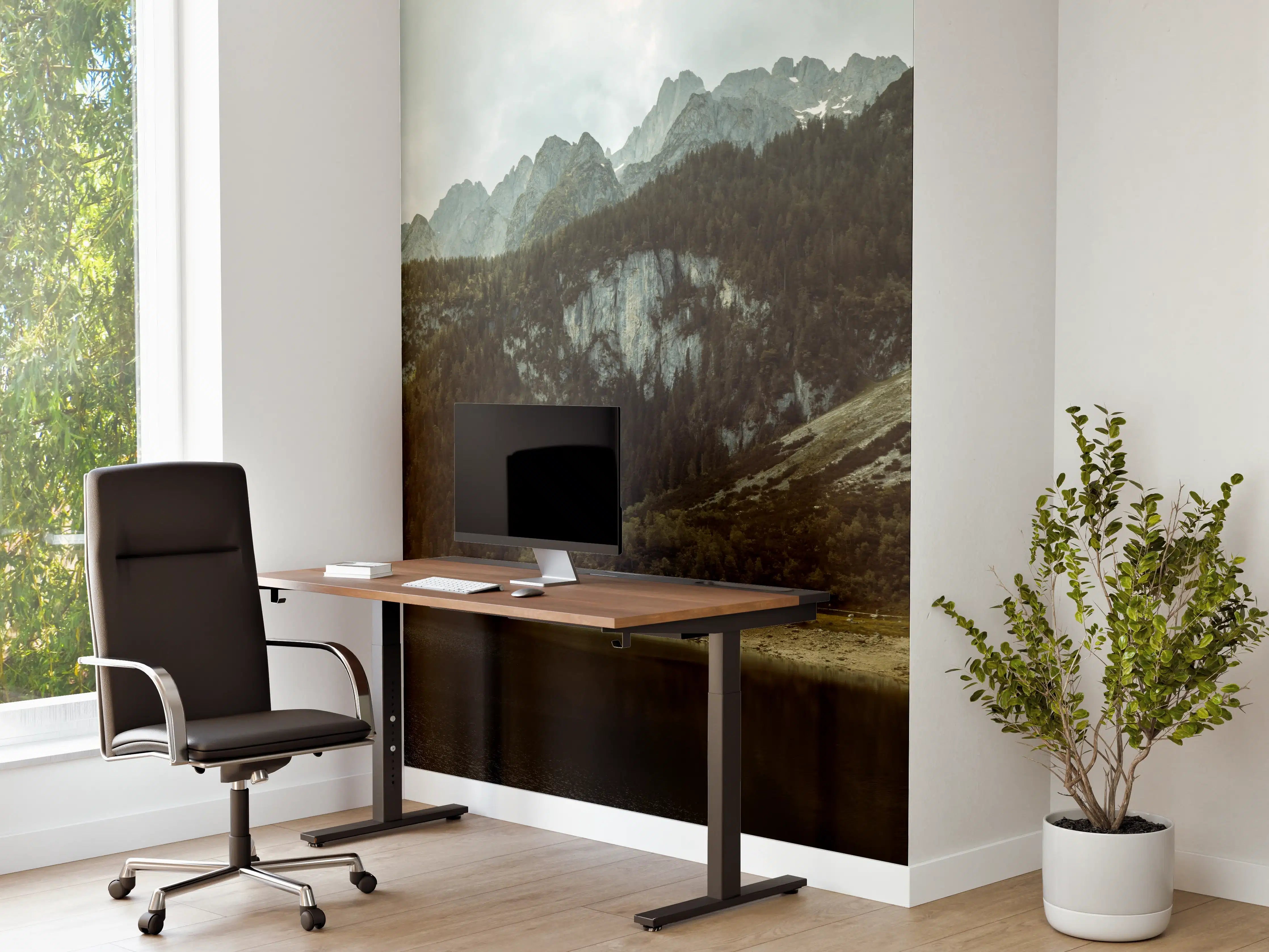 Büro Wandgestaltung - Gosausee Panorama