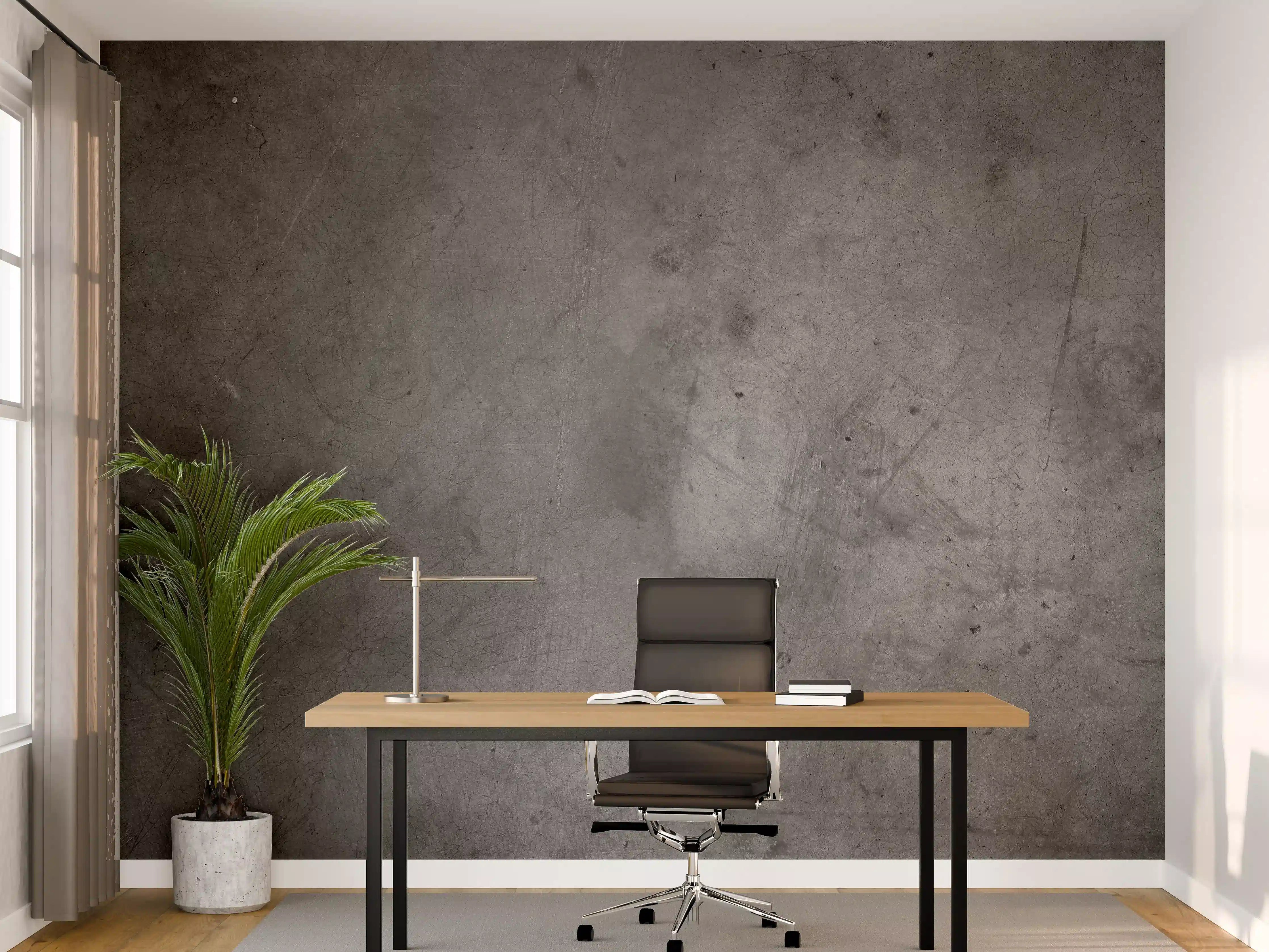 Büro Wandgestaltung - Gräulicher rauer Beton - Dunkel