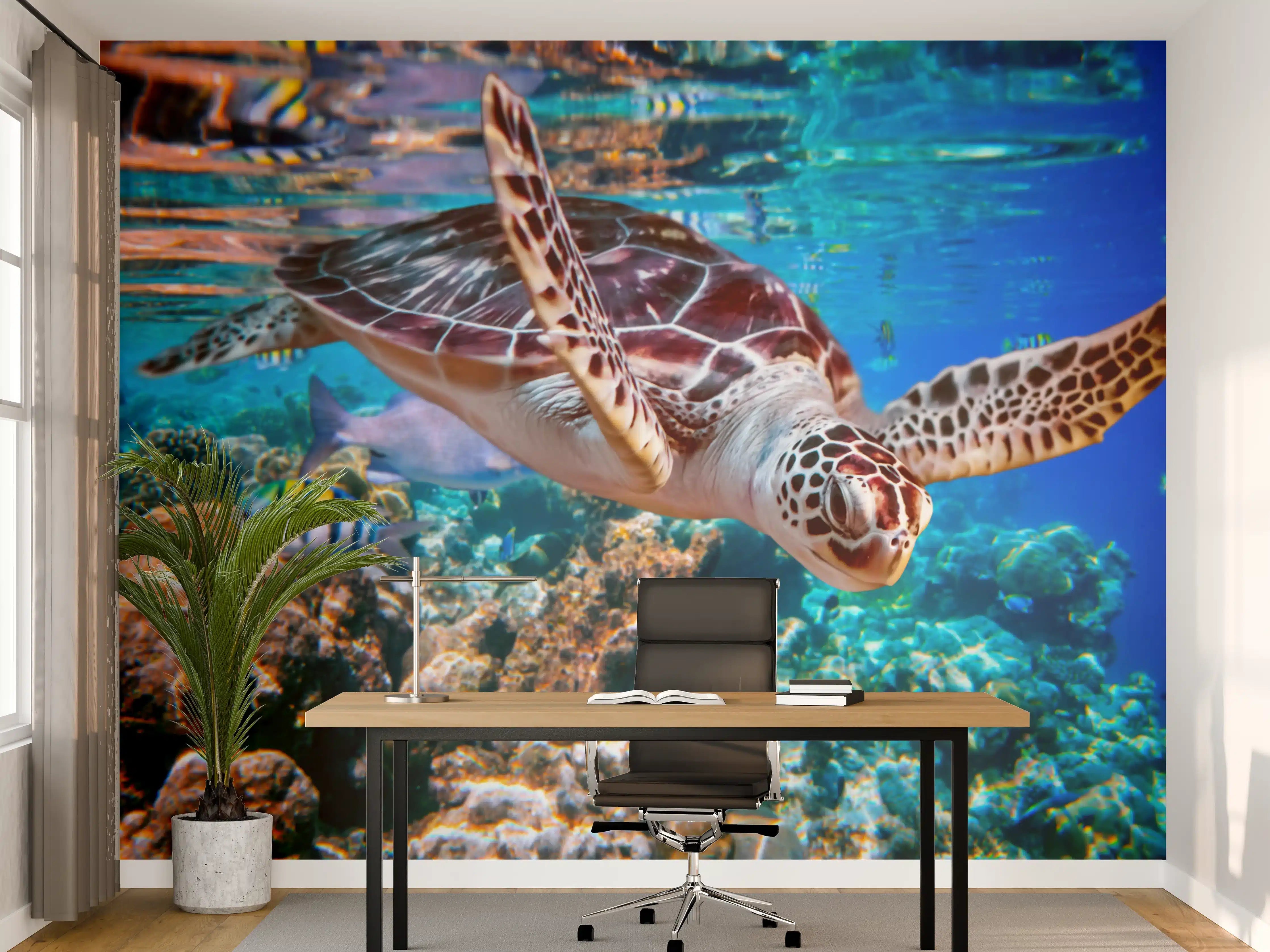 Büro Wandgestaltung - Graue Meeresschildkröte im Korallenparadies