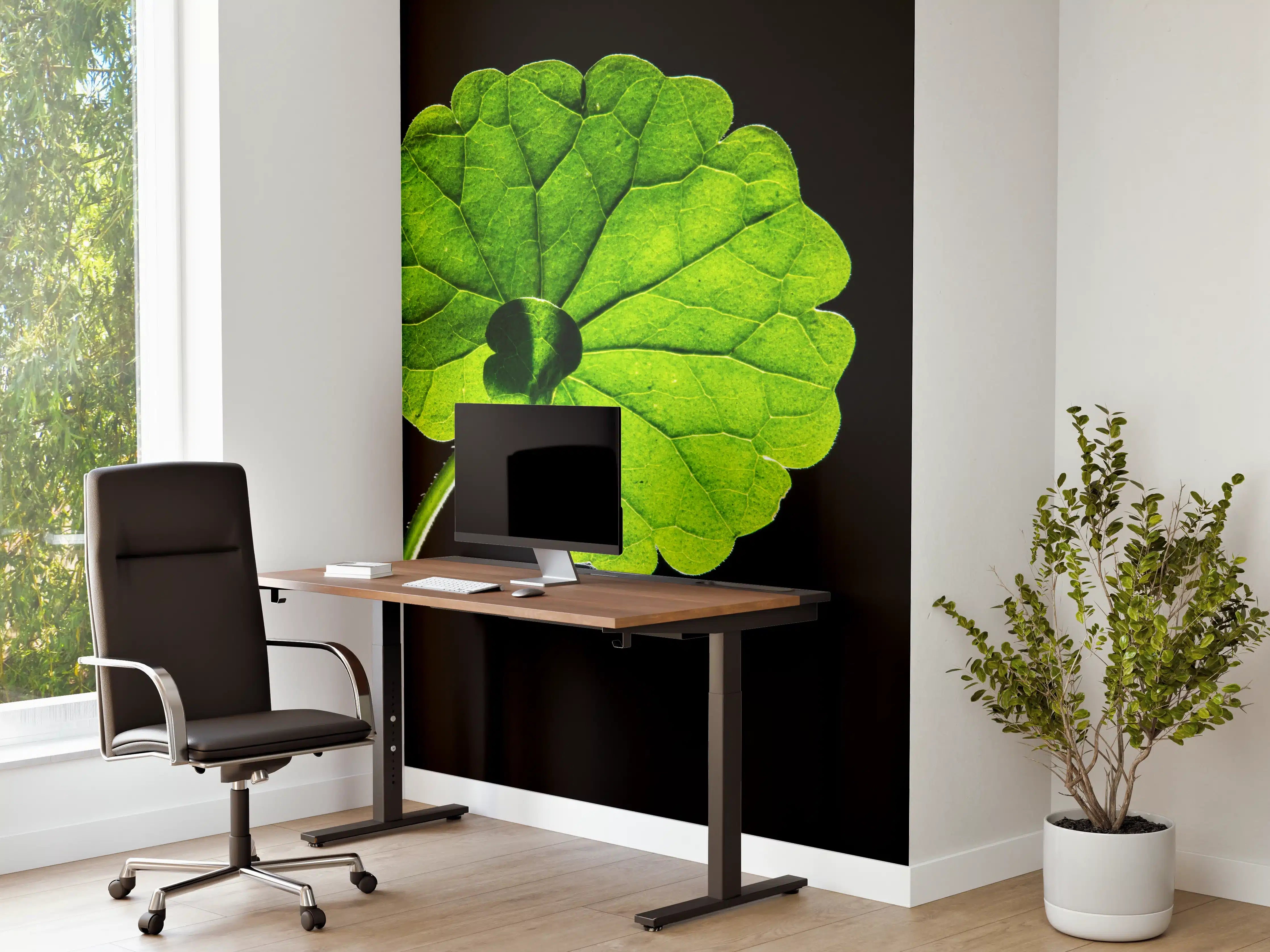 Büro Wandgestaltung - Graues Blattsilhouette auf dunklem Grund