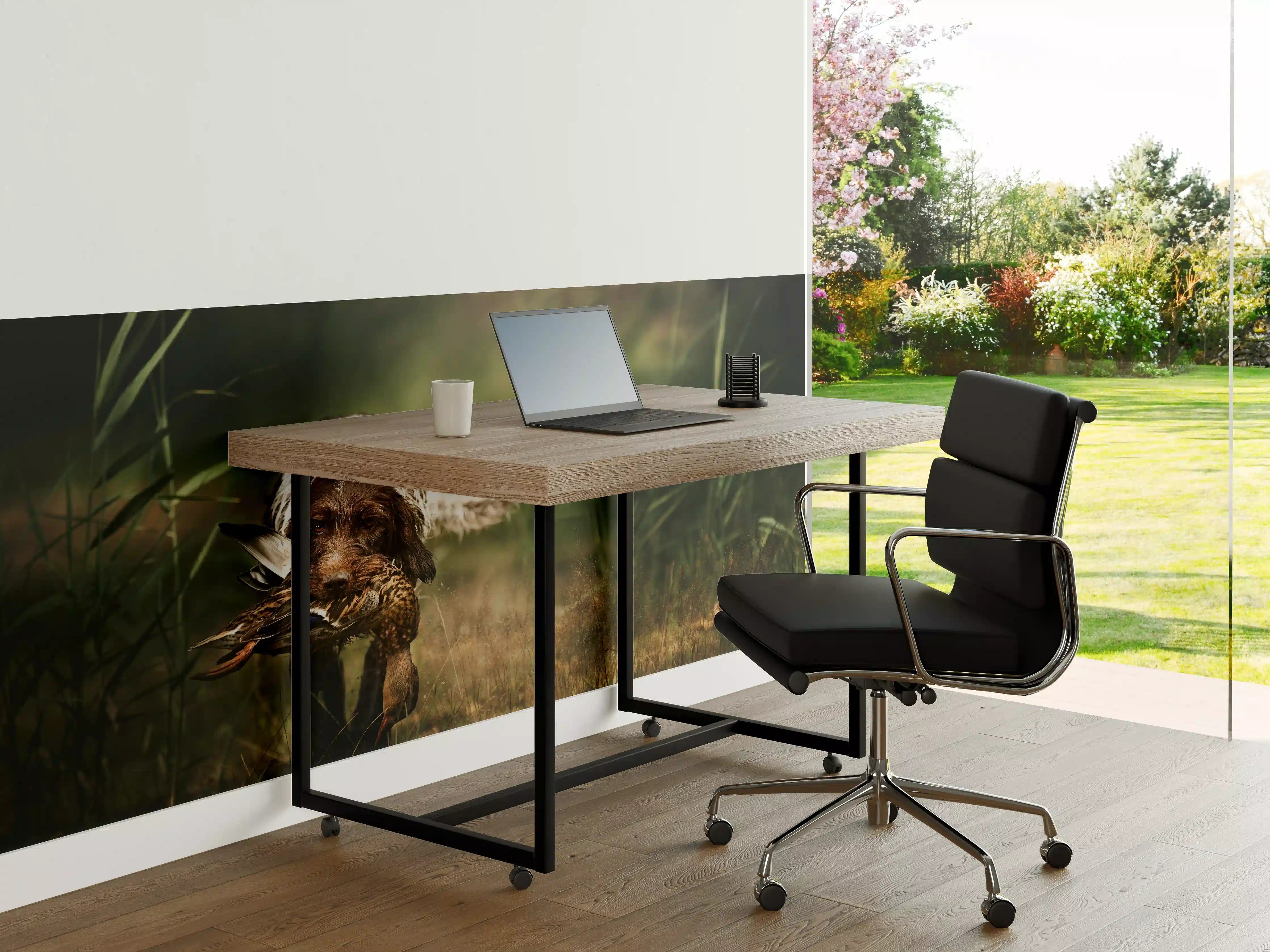 Büro Wandgestaltung - Griffon Korthals beim Apportieren einer Ente
