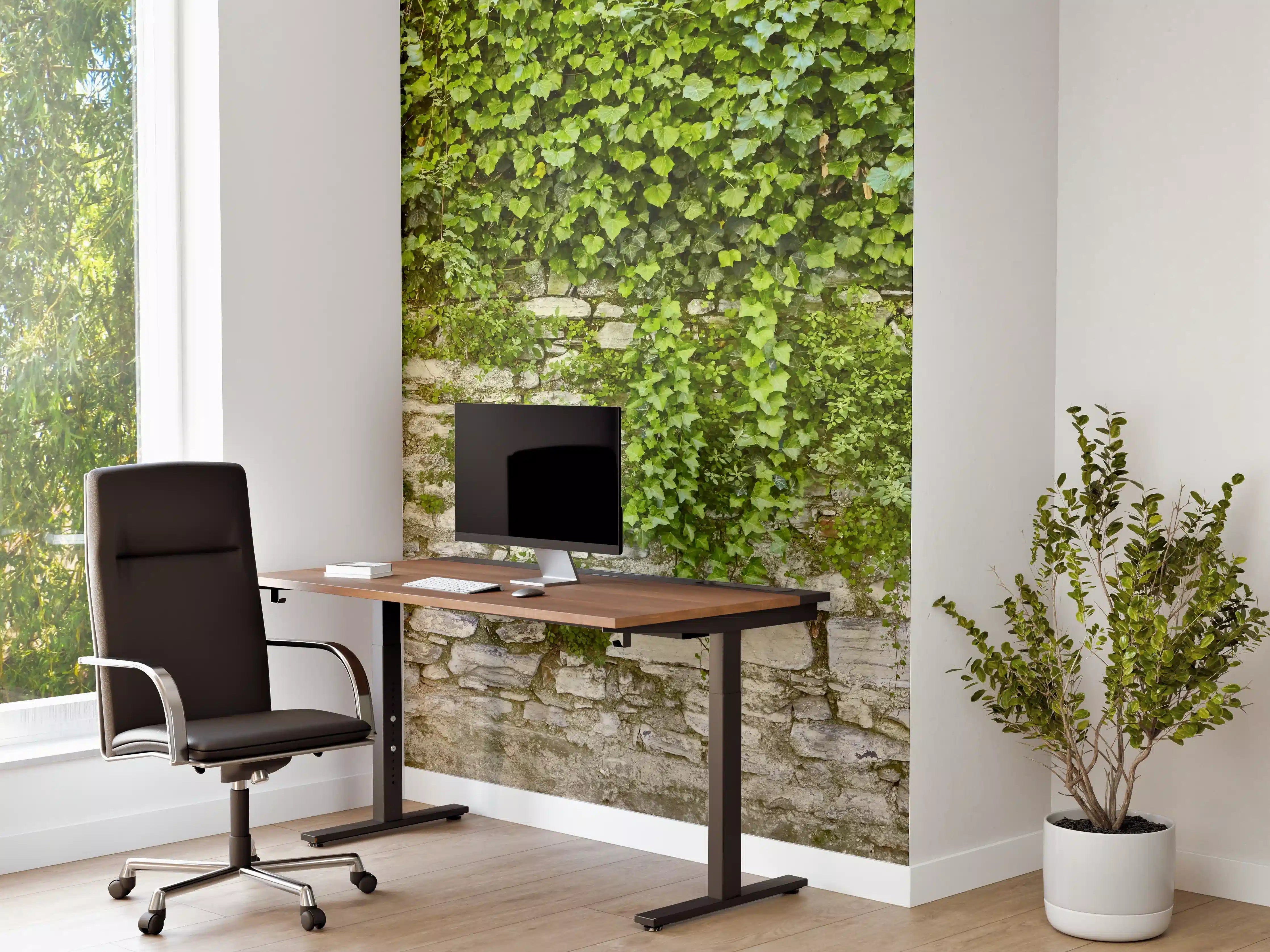 Büro Wandgestaltung - Grün überwucherte Burgmauer