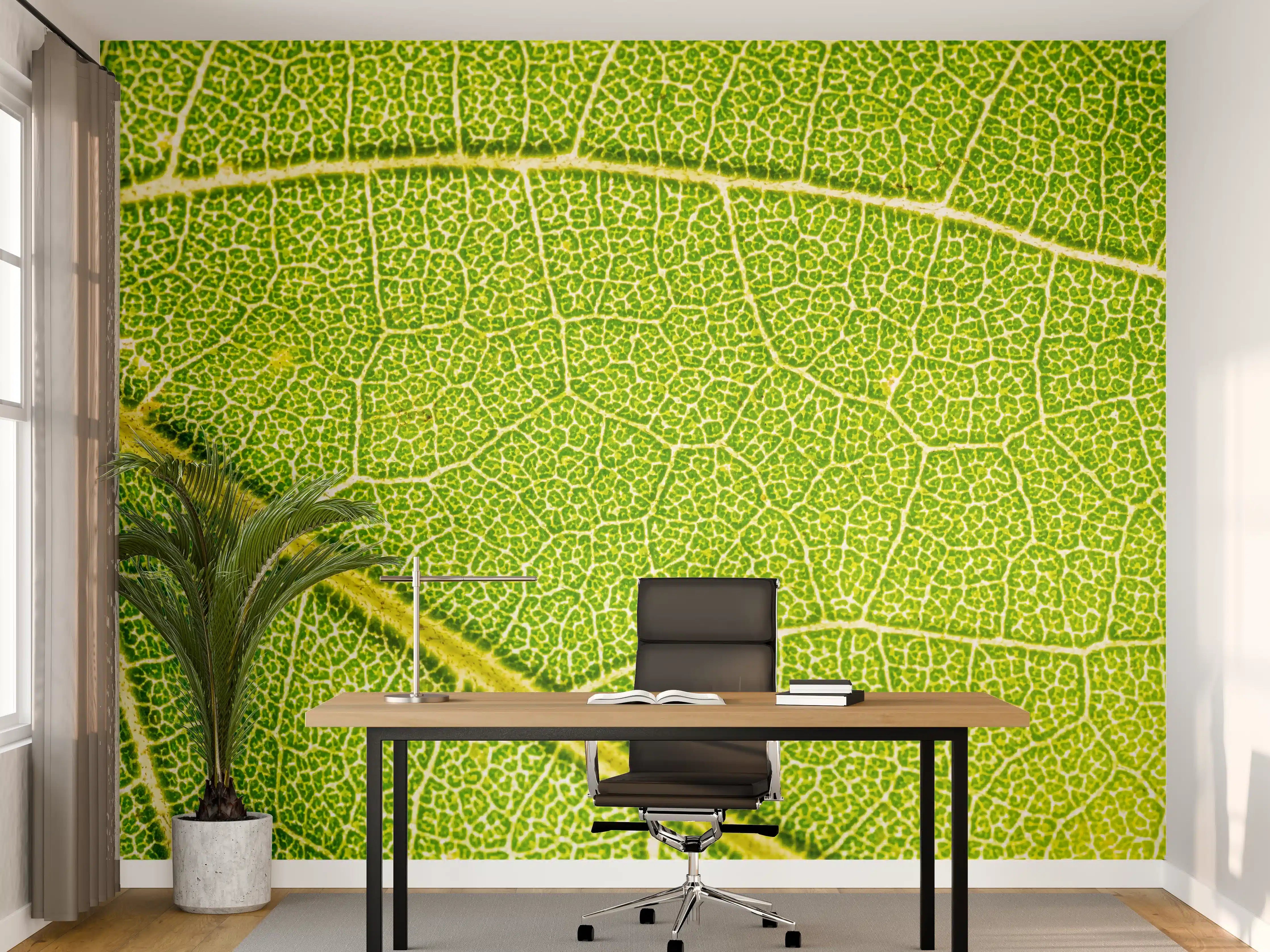 Büro Wandgestaltung - Grüne Blatt Makro Textur