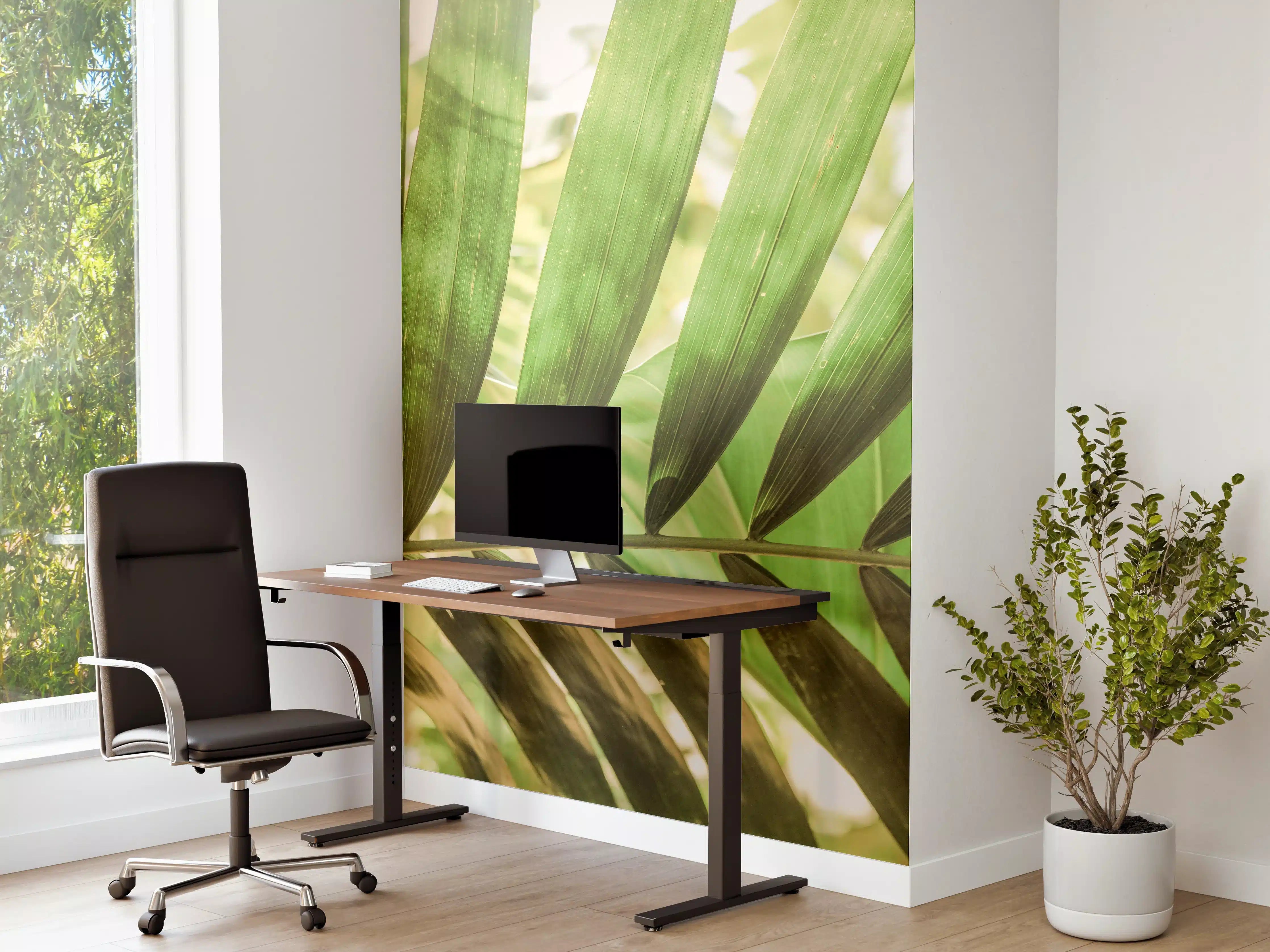 Büro Wandgestaltung - Grüne Palmenblätter in Sonnenlicht