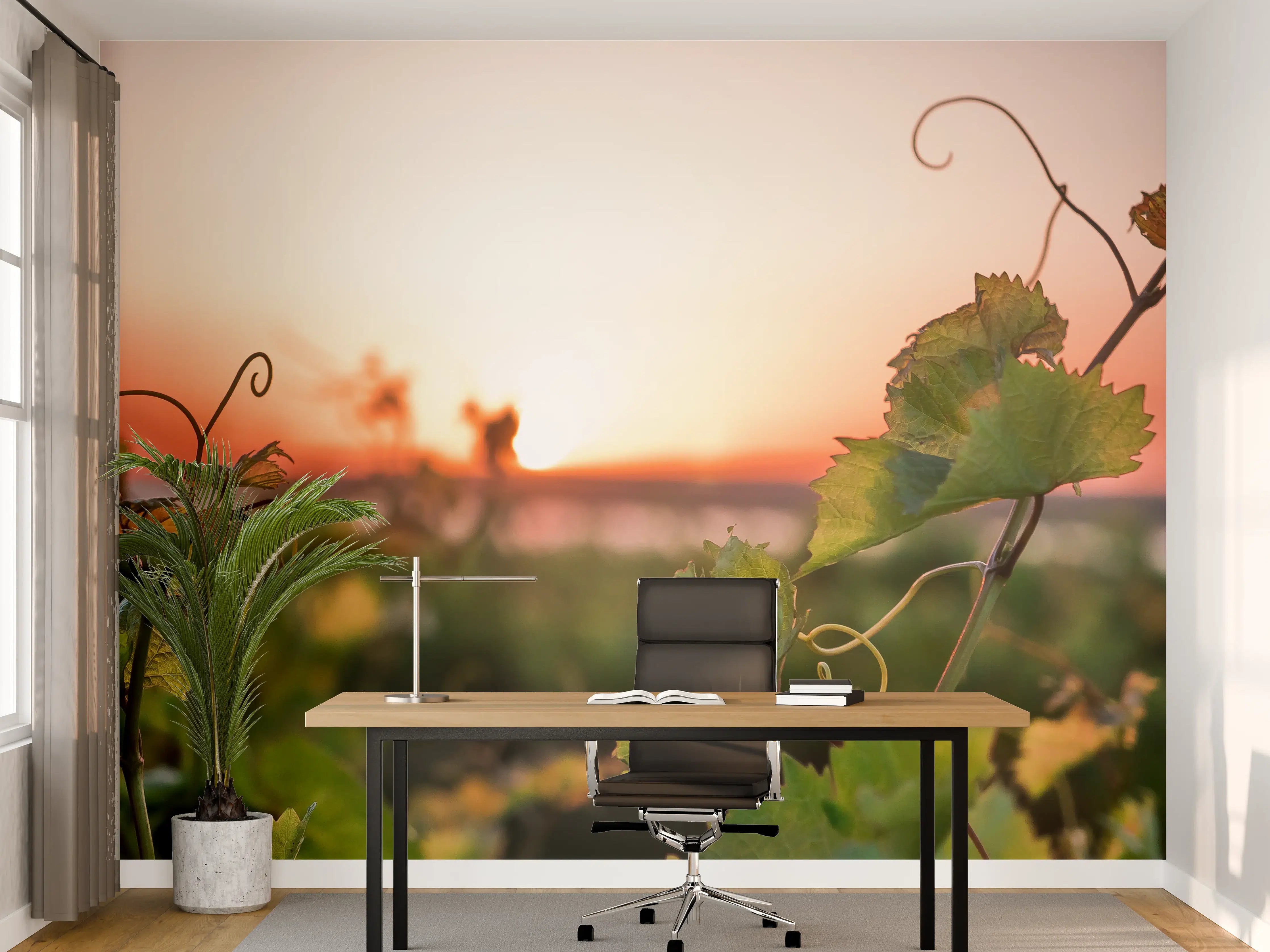 Büro Wandgestaltung - Grüne Weinreben bei Sonnenuntergang