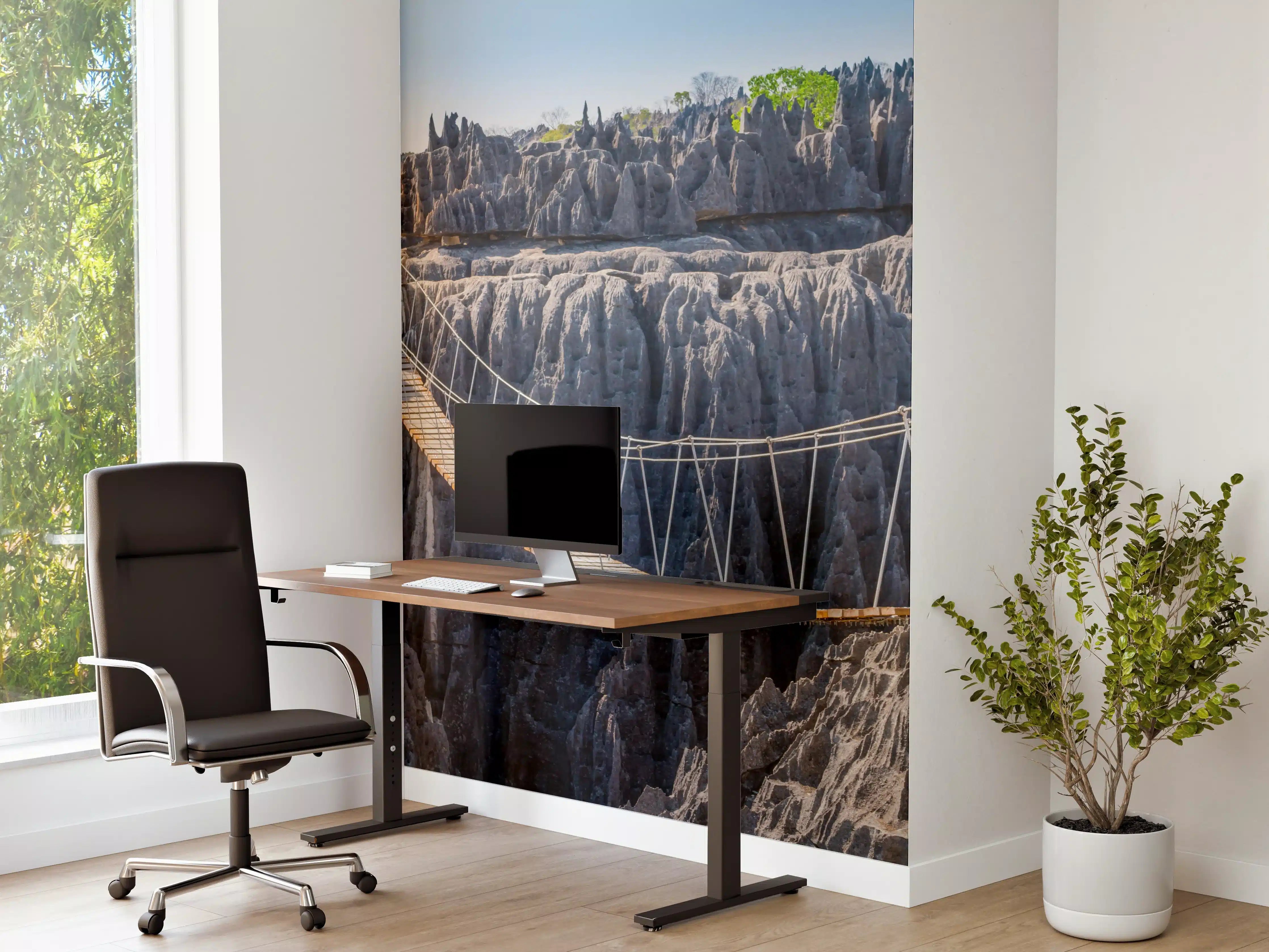 Büro Wandgestaltung - Hängebrücke Tsingy Madagascar
