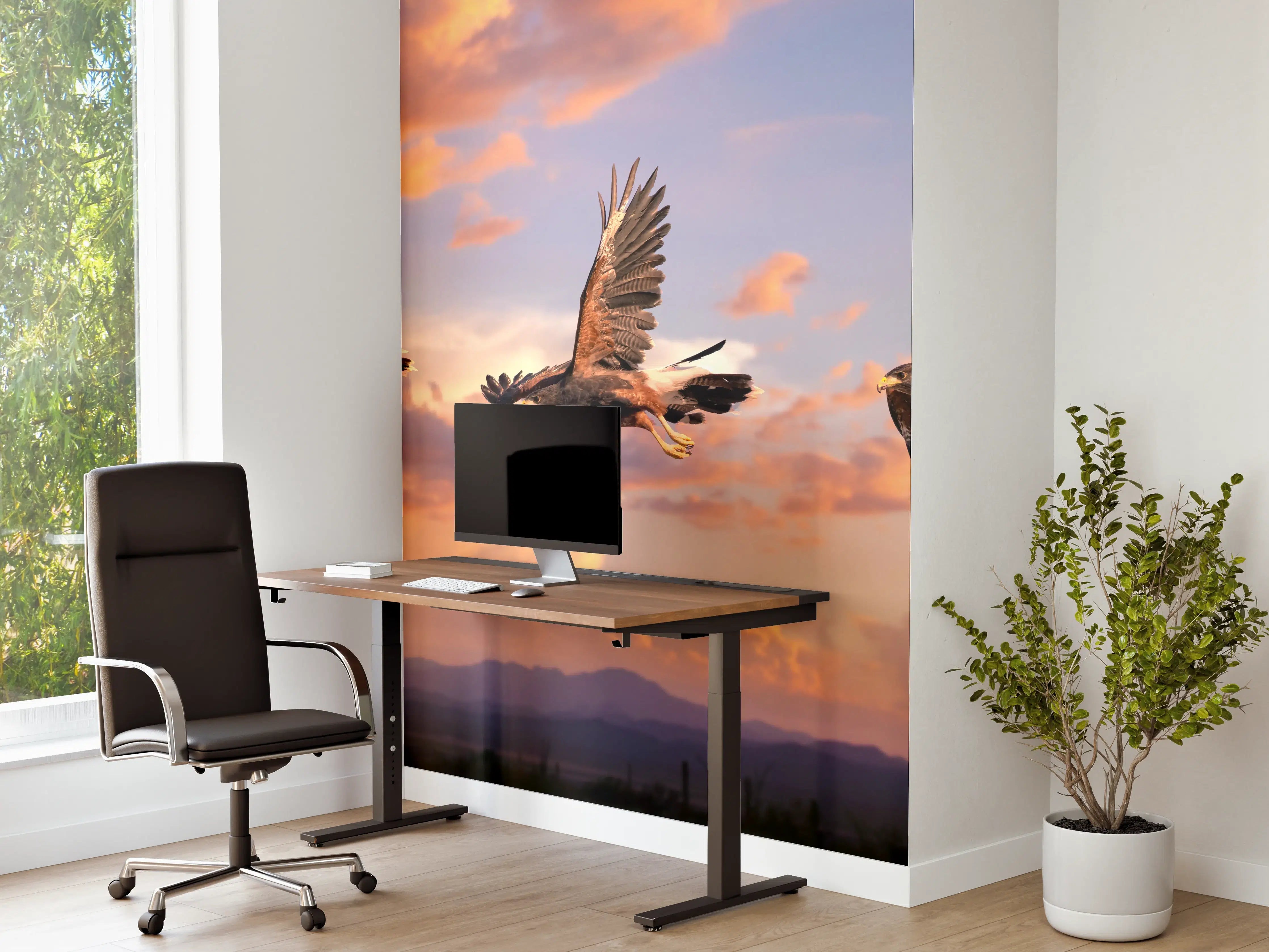 Büro Wandgestaltung - Harris Hawk im Flug Blauhimmel
