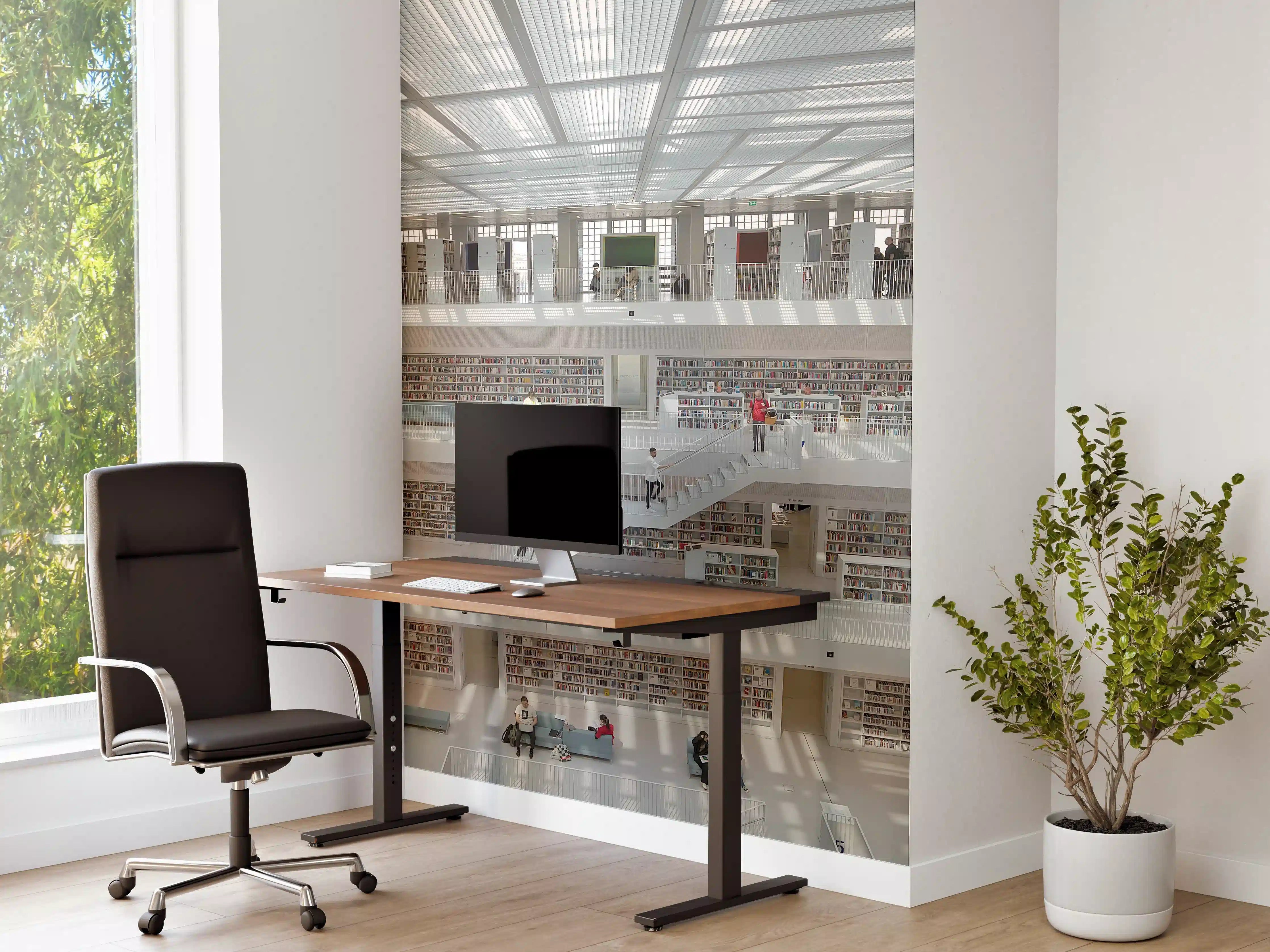 Büro Wandgestaltung - Helle Bibliothek in Stuttgart