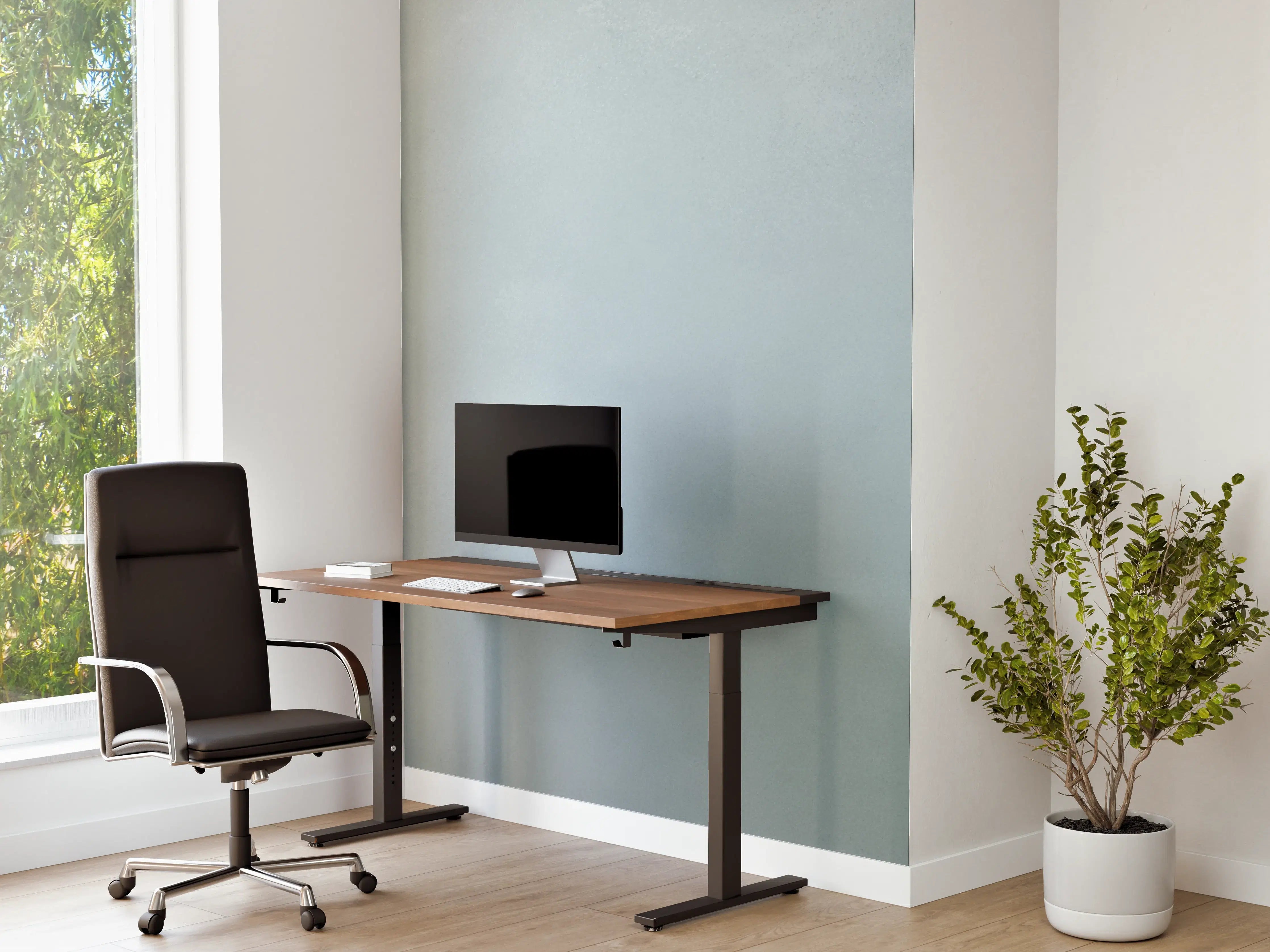 Büro Wandgestaltung - Helles Himmelblau mit subtilen Farbnuancen