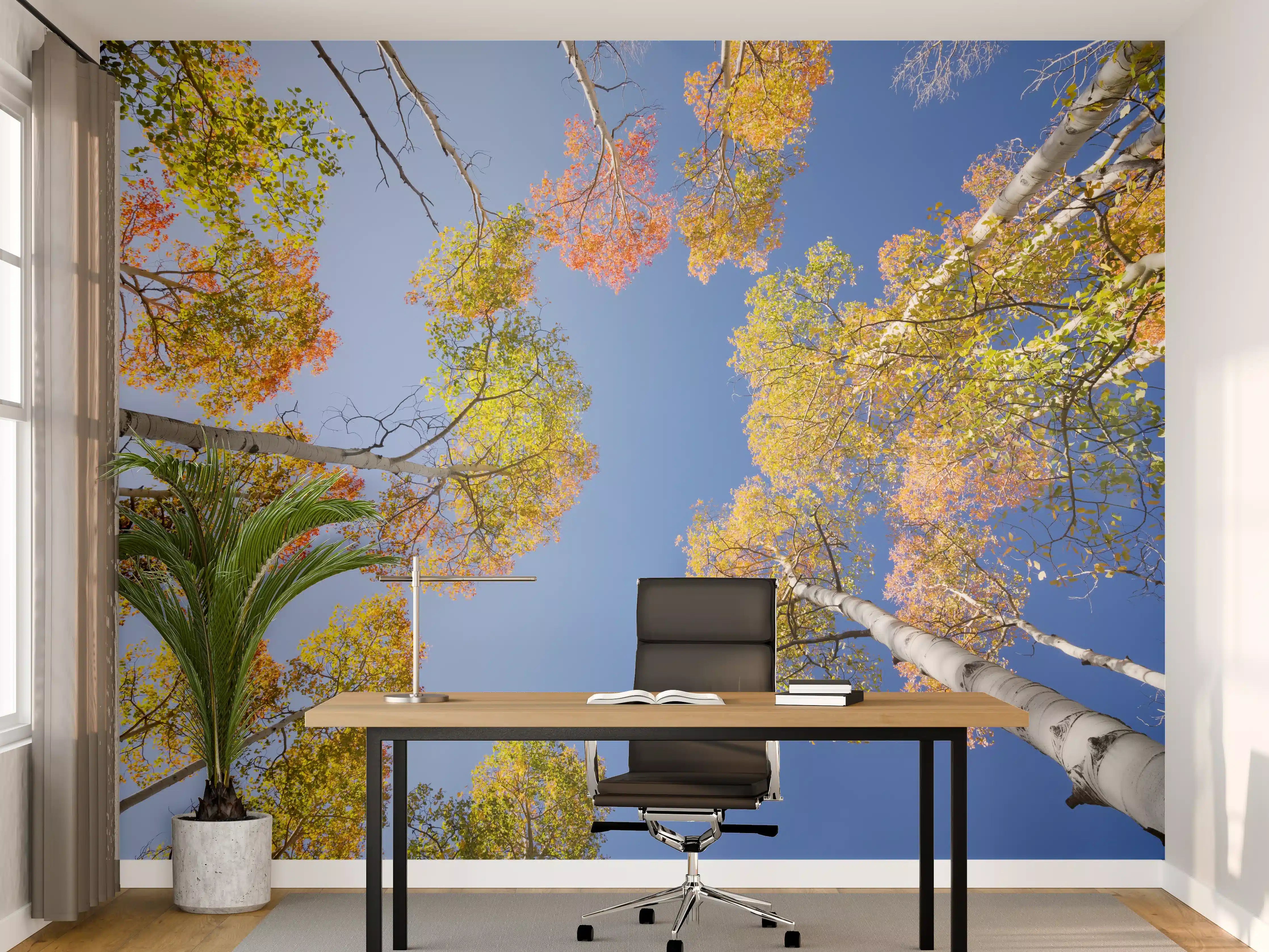 Büro Wandgestaltung - Herbstliche Birken