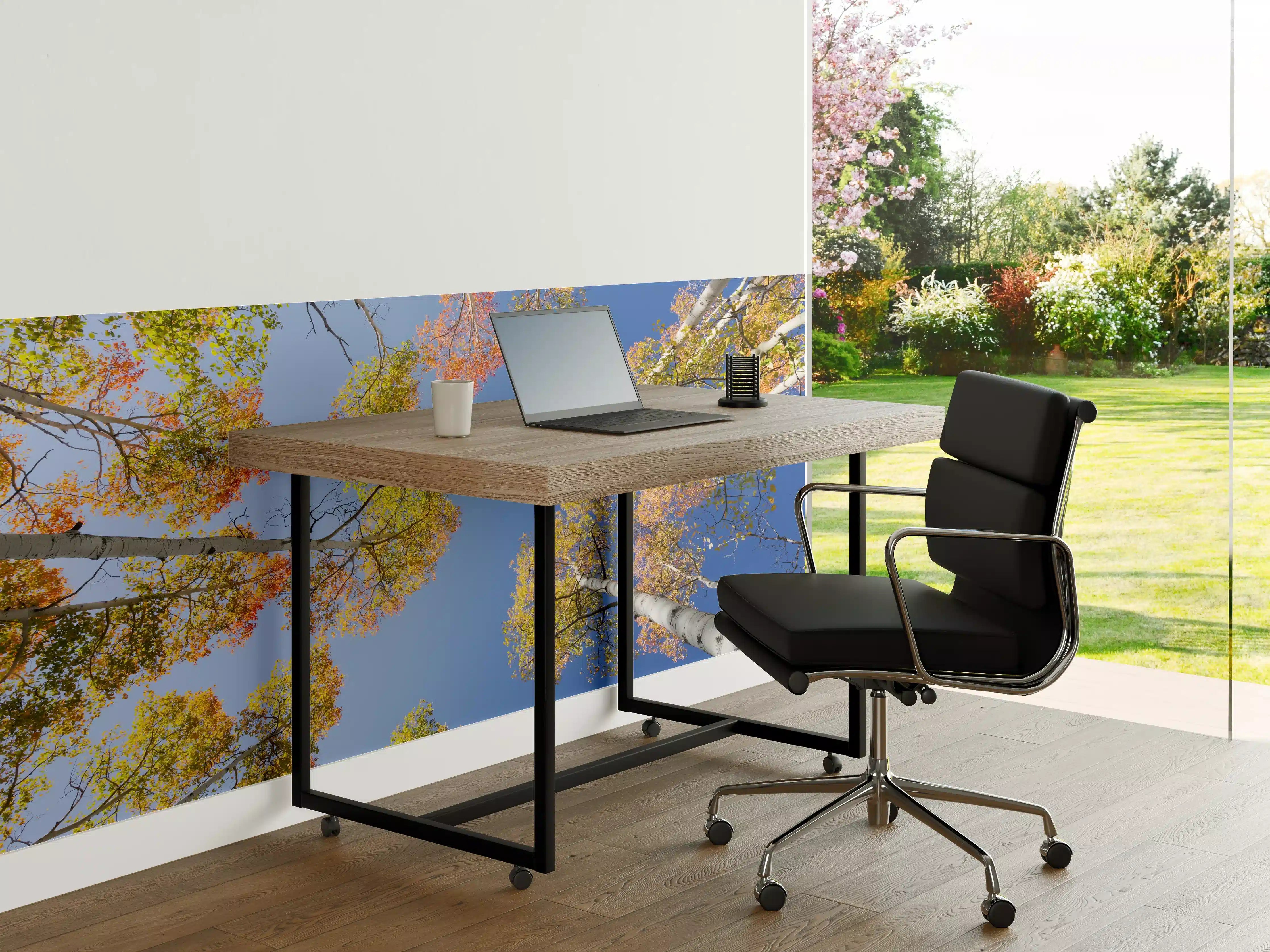 Büro Wandgestaltung - Herbstliche Birken