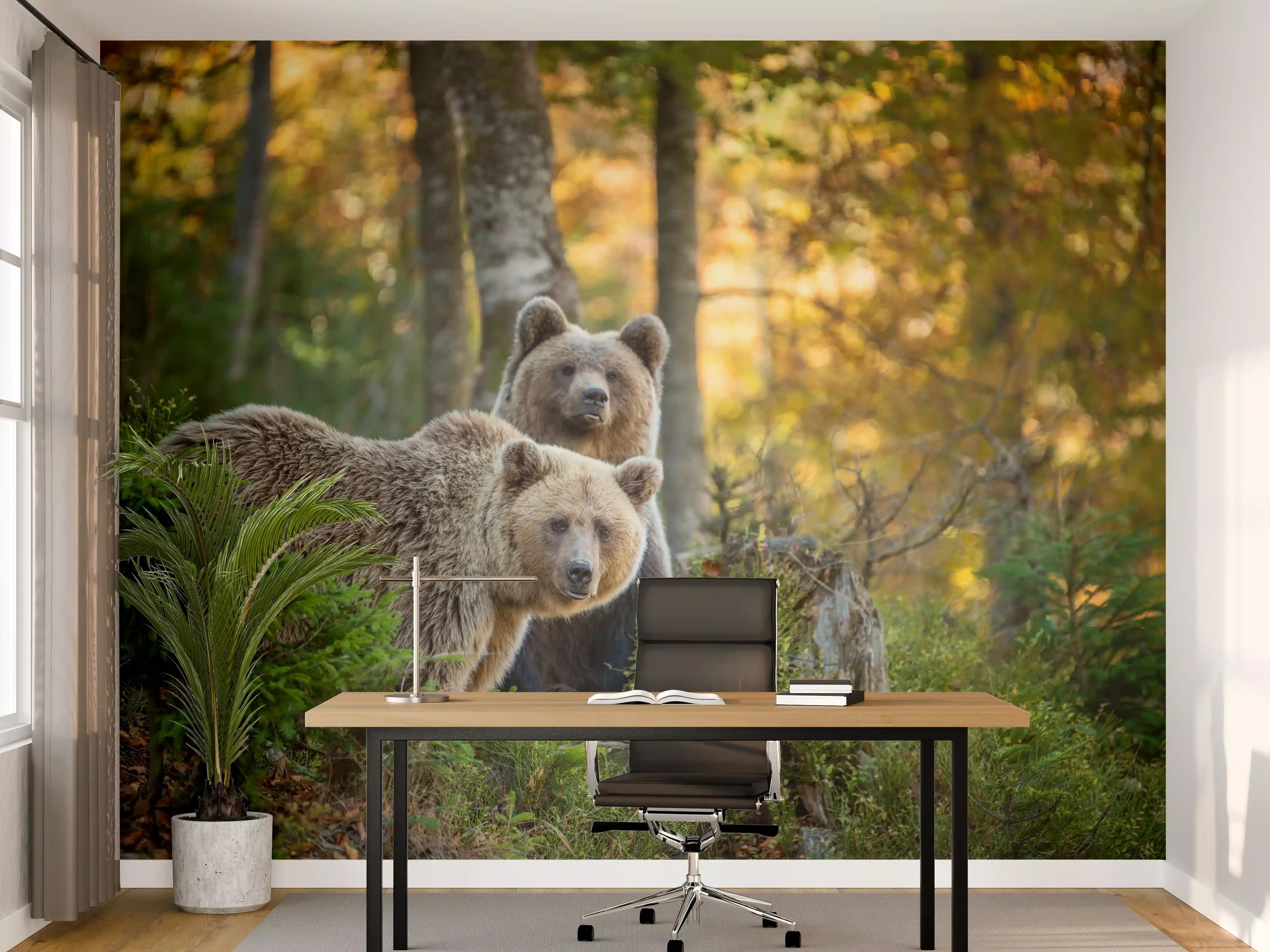 Büro Wandgestaltung - Herbstlicher Braunbär im Wald