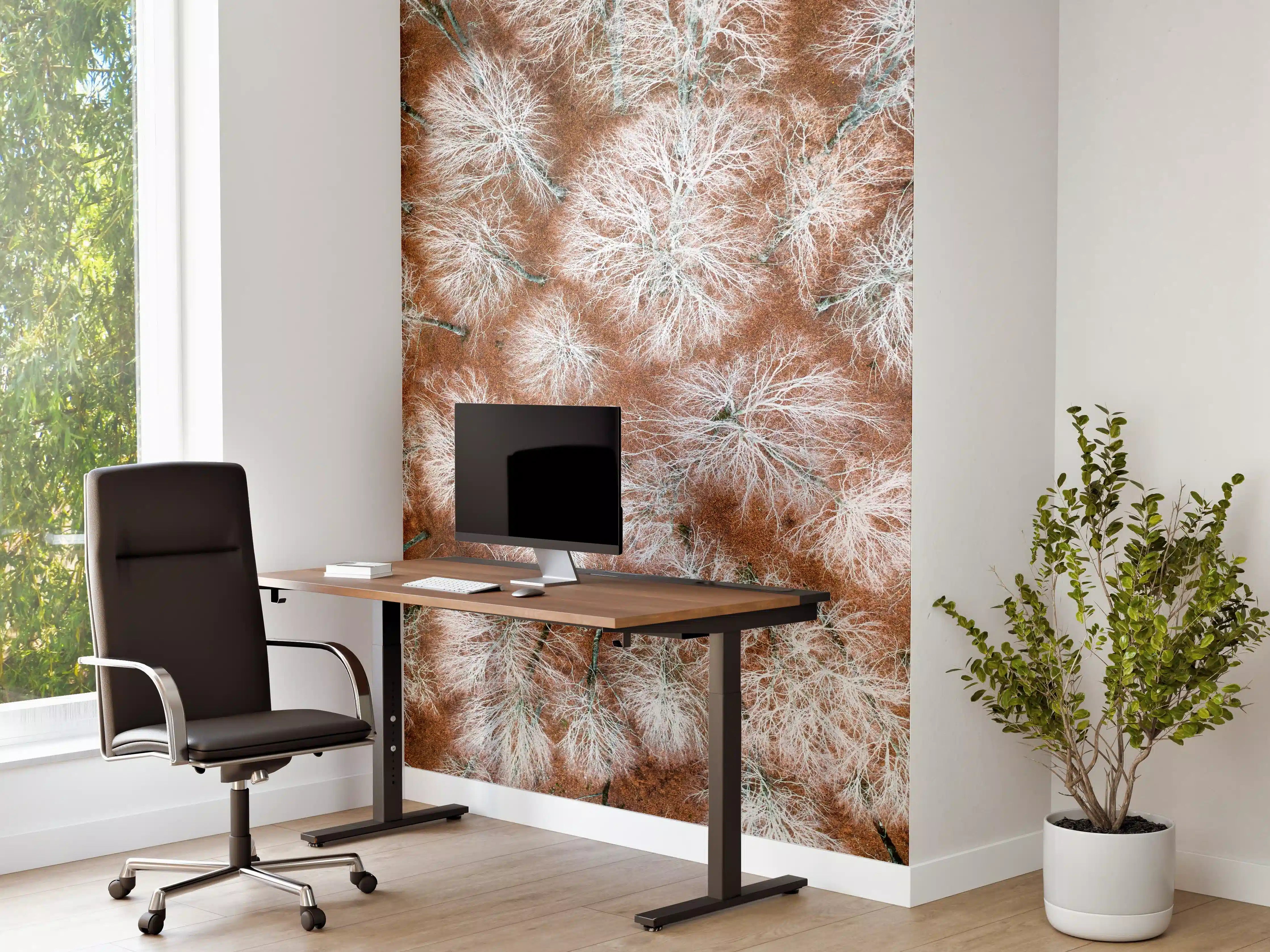 Büro Wandgestaltung - Herbstlicher Wald aus der Vogelperspektive