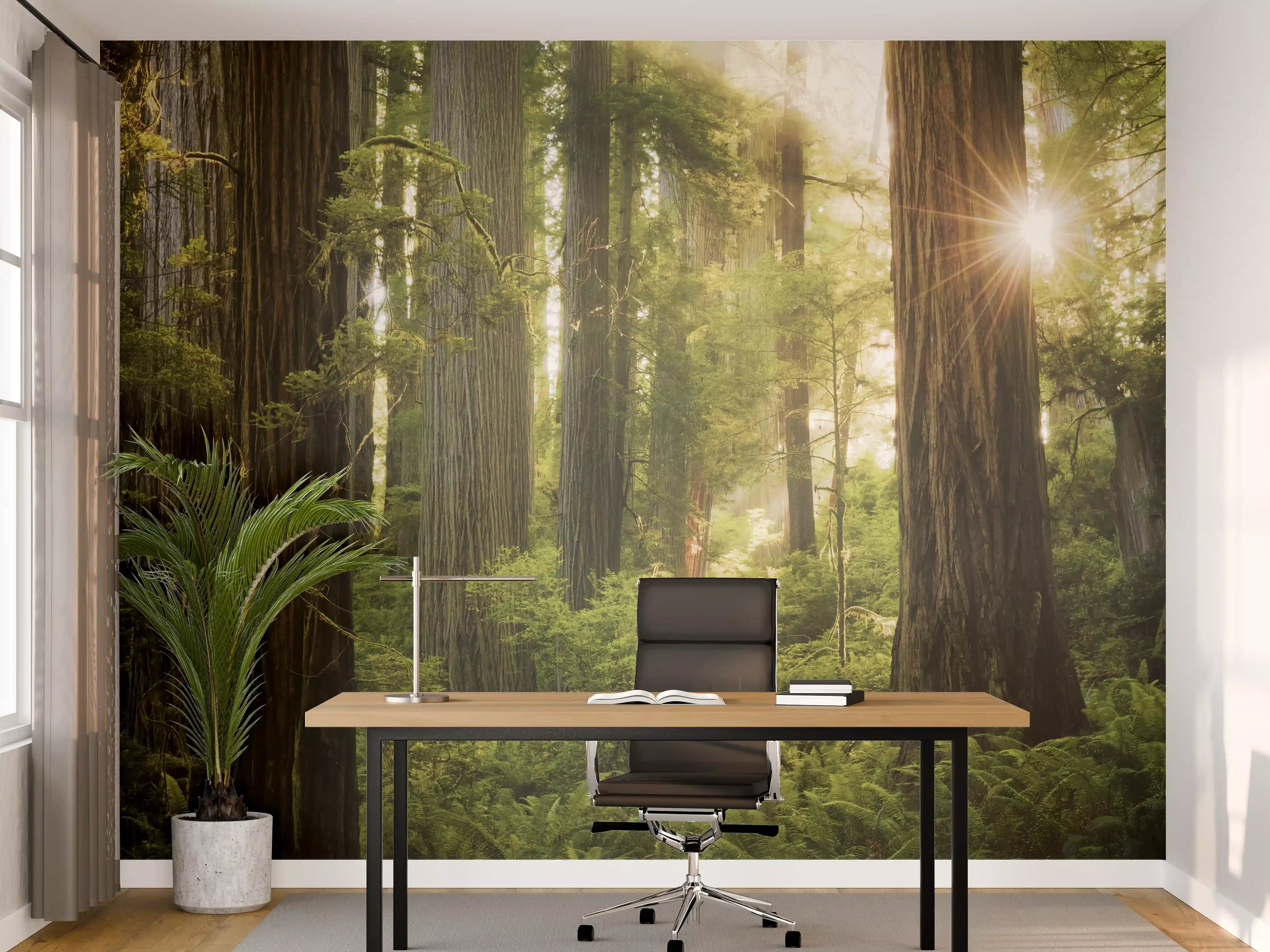 Büro Wandgestaltung - Herbstwald Lichtspiel