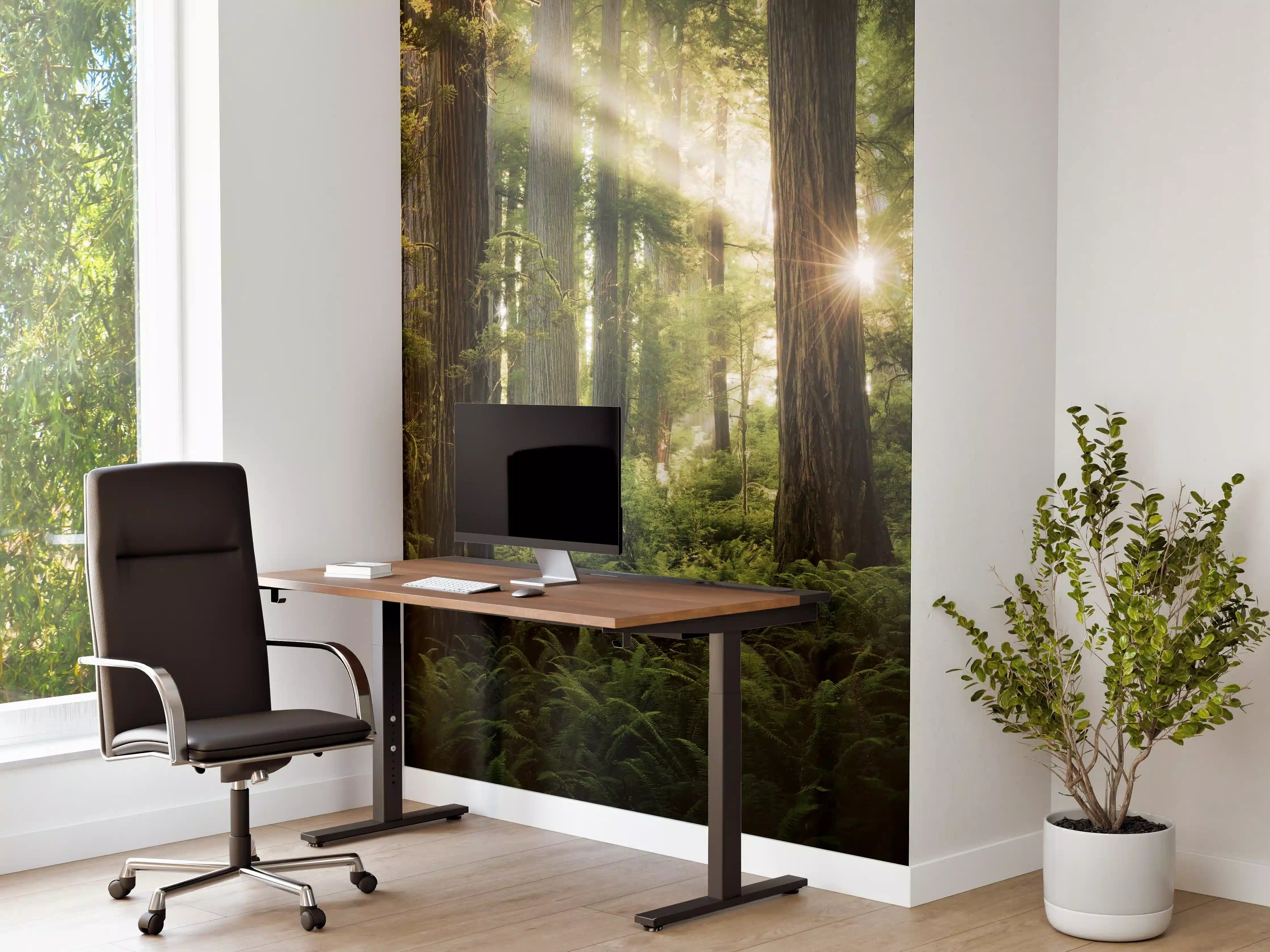 Büro Wandgestaltung - Herbstwald Lichtspiel