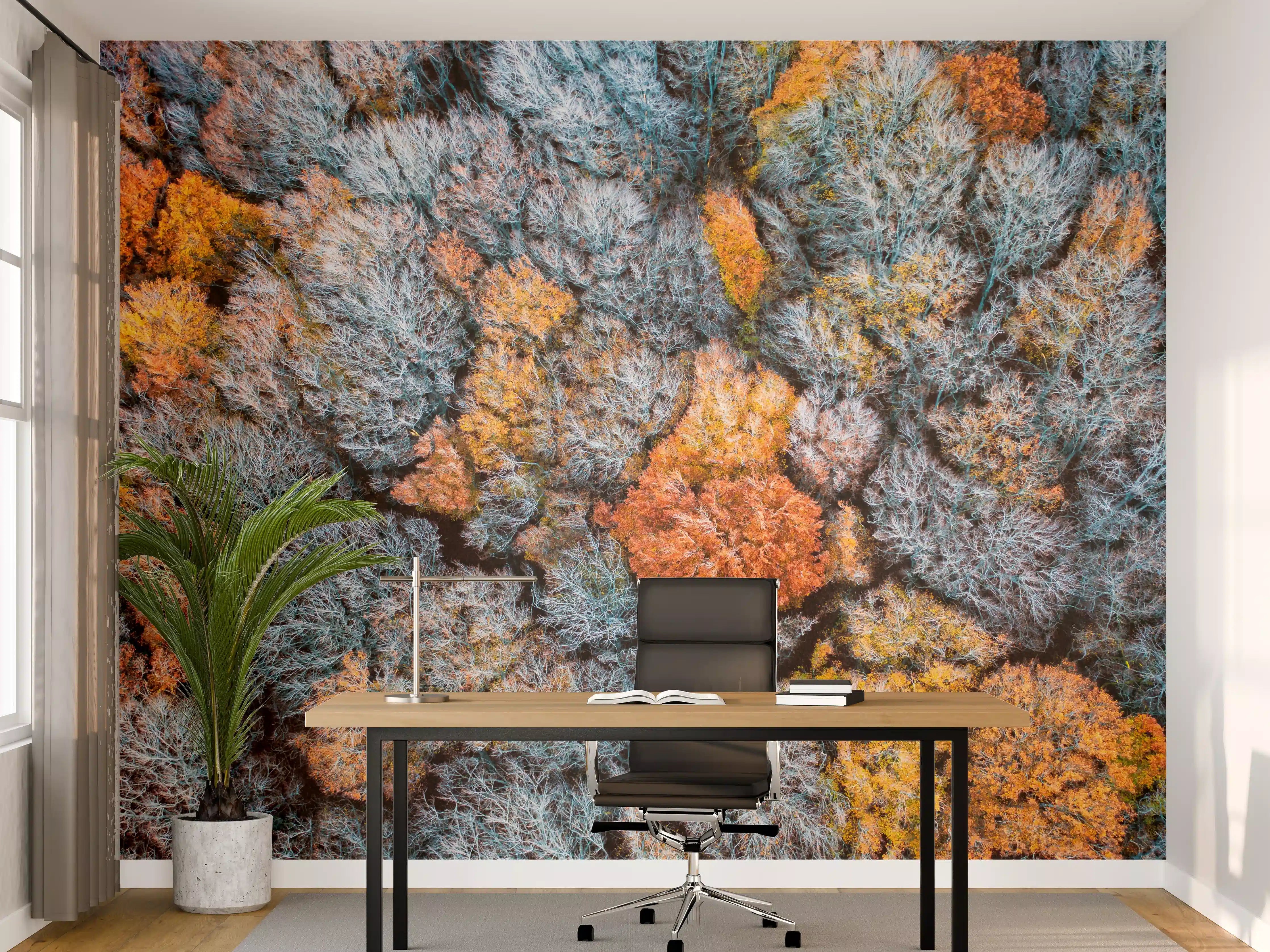 Büro Wandgestaltung - Herbstwald aus der Vogelperspektive